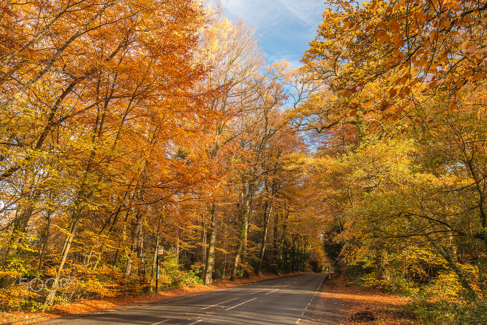 Canon EF 16-35mm F4L IS USM sample photo. The straight mile, romsey, in autumn photography
