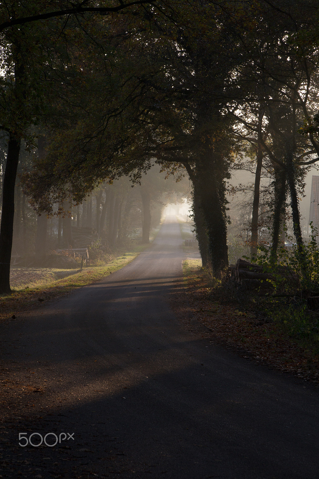 Canon EOS 60D + Tamron AF 28-75mm F2.8 XR Di LD Aspherical (IF) sample photo. A long road to the light photography