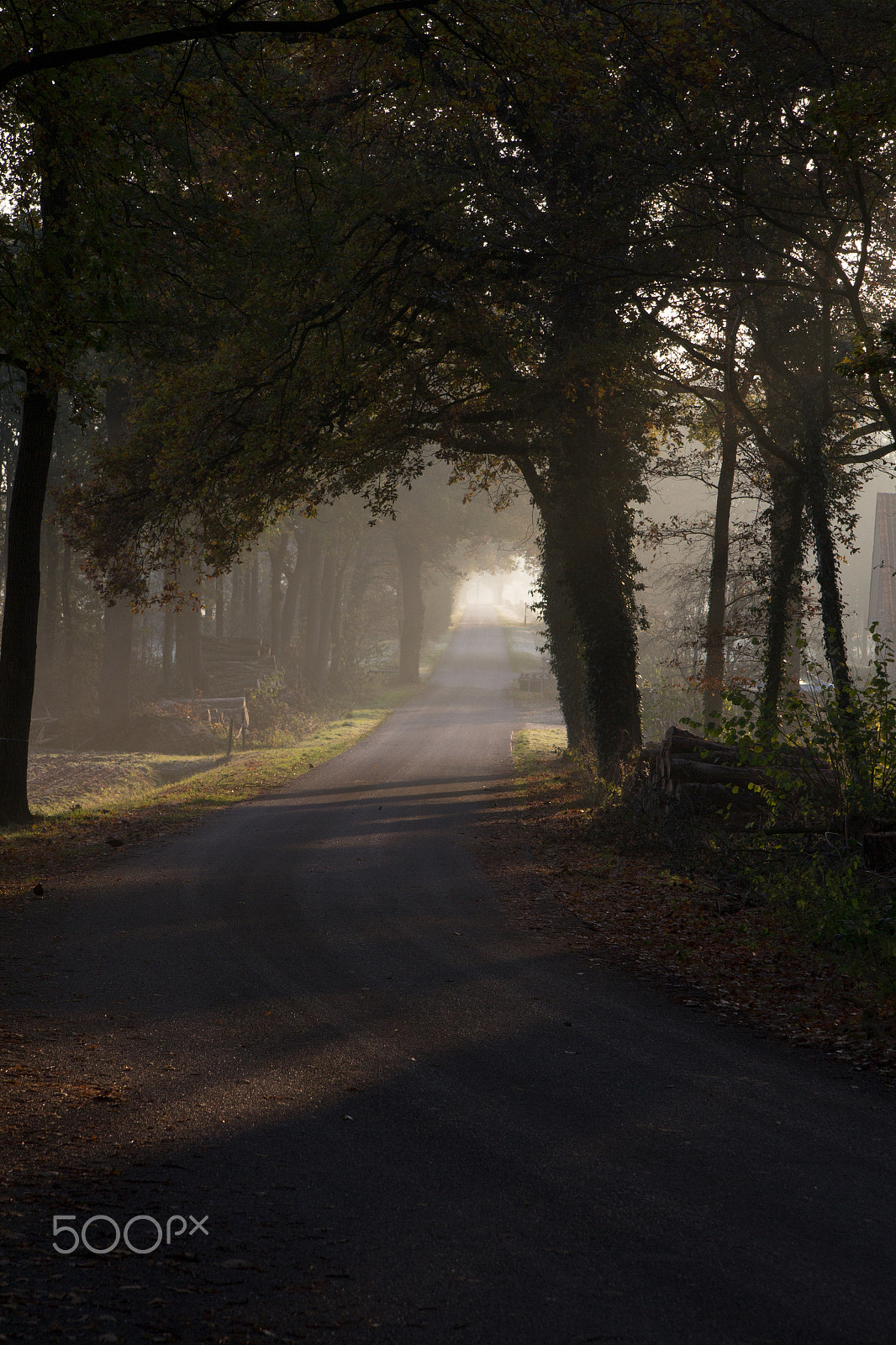 Canon EOS 60D sample photo. A long road to the light photography