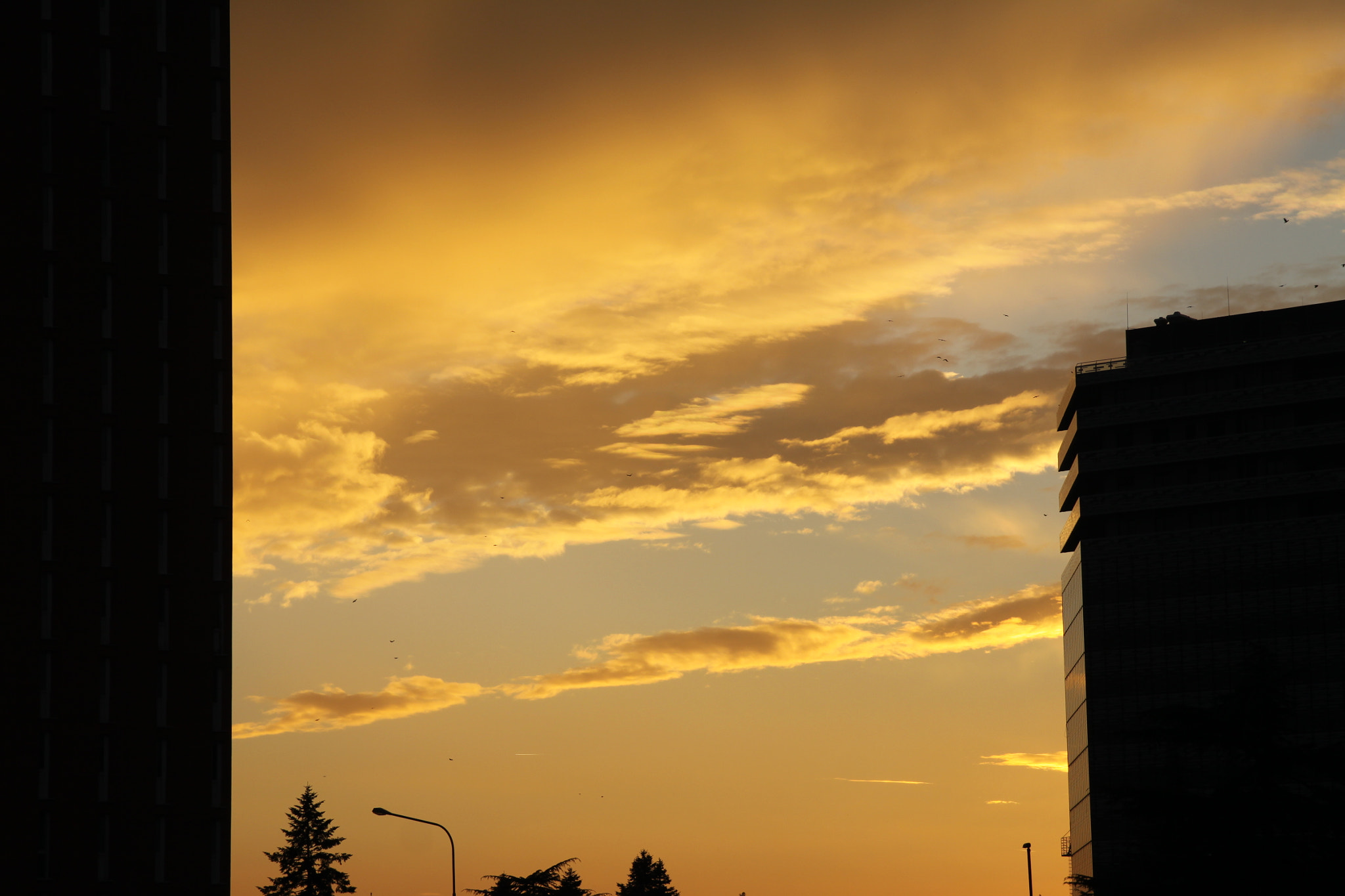Canon EOS 50D sample photo. Untitled photography