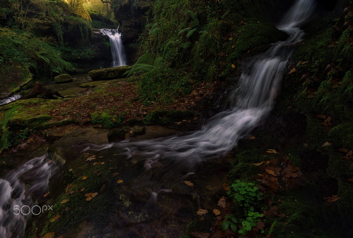 Sony a99 II + Sony Vario-Sonnar T* 16-35mm F2.8 ZA SSM sample photo. Emociones photography