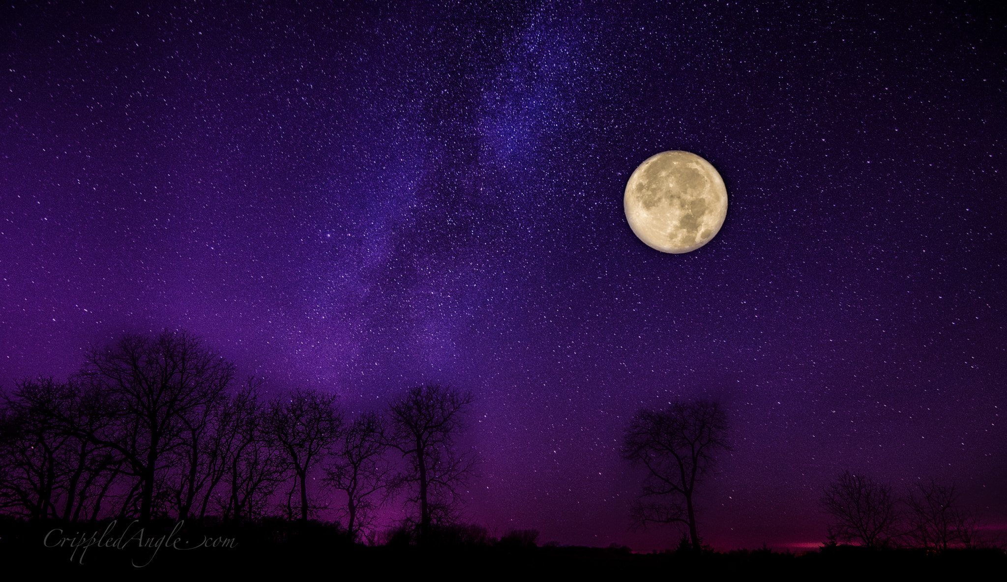 Nikon D500 sample photo. Supermoon photography
