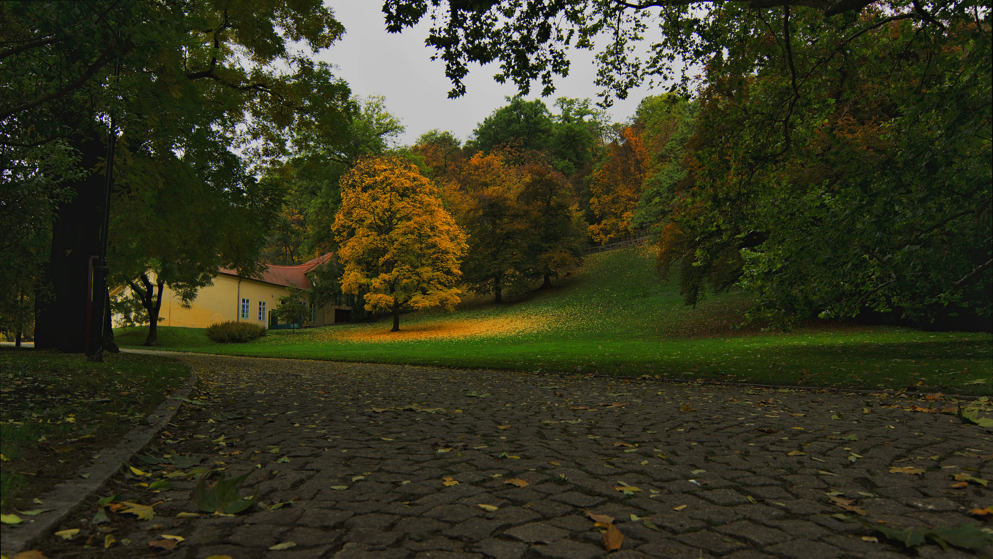 Sony SLT-A65 (SLT-A65V) + 20mm F2.8 sample photo. Prague - kinského garden photography