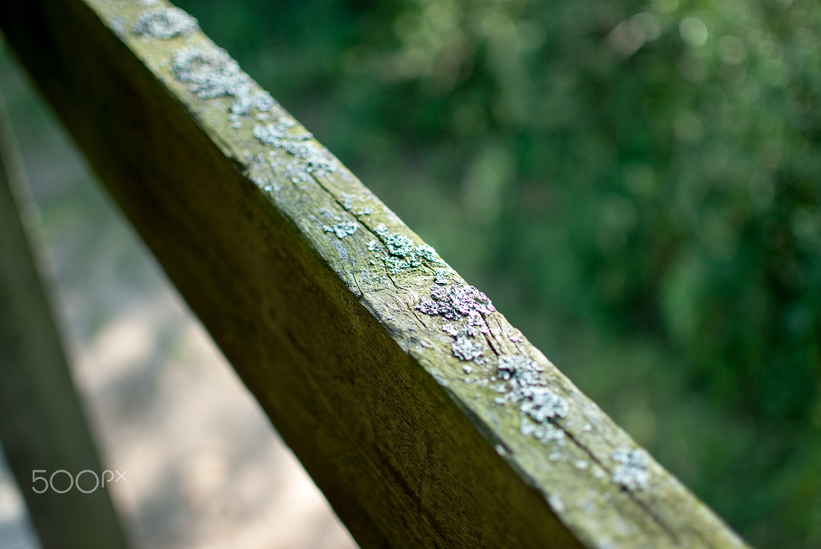 Nikon D200 + Nikon AF-S DX Nikkor 35mm F1.8G sample photo. Wooden barrier photography