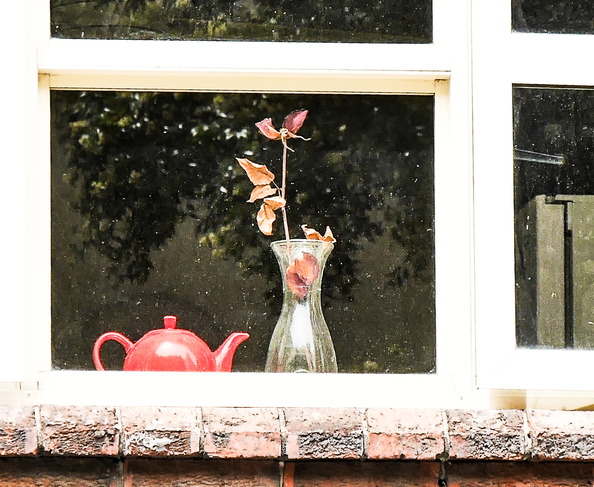 Panasonic Lumix DMC-GX7 sample photo. Flower window photography