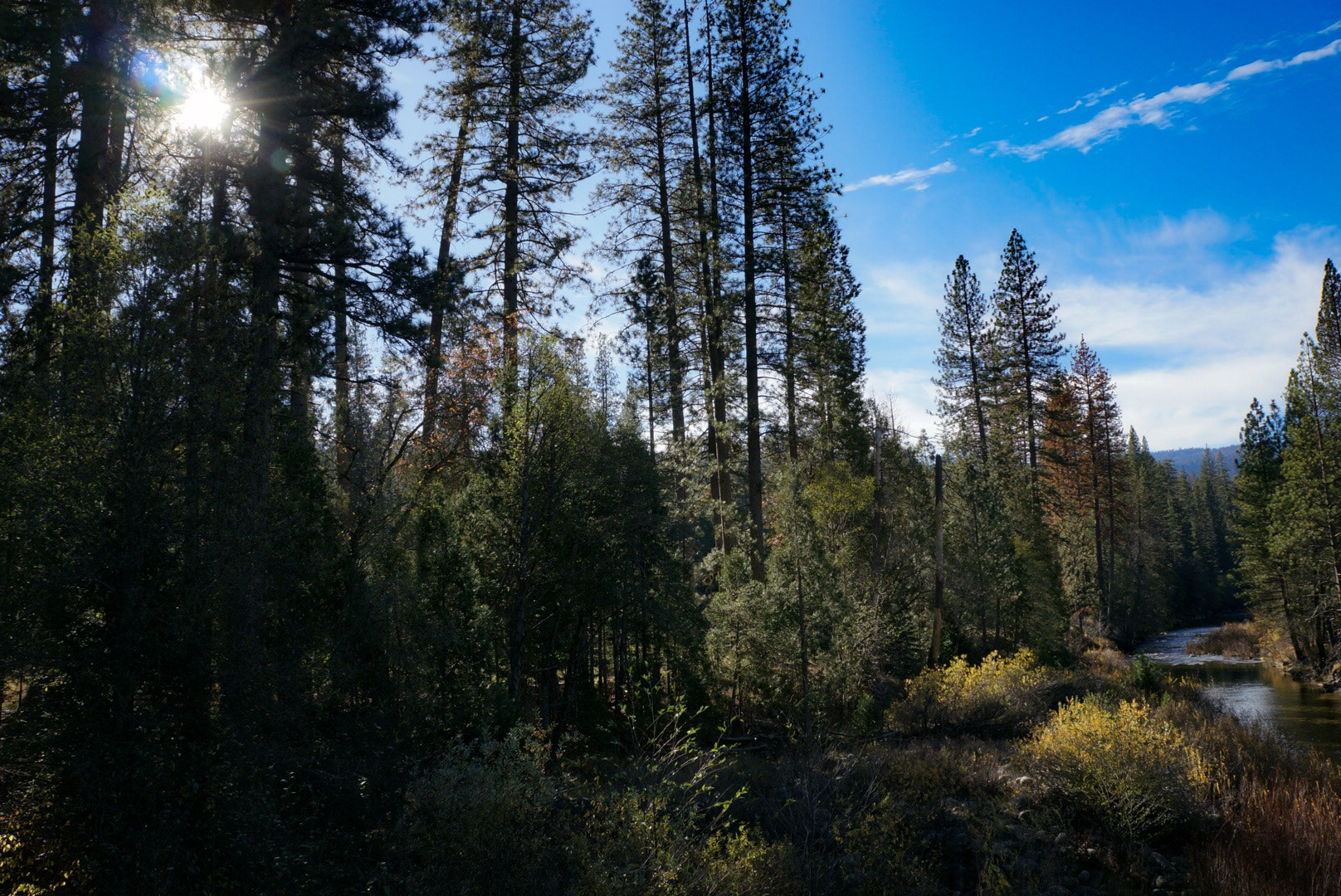 Sony Alpha NEX-6 sample photo. Morning on the river photography