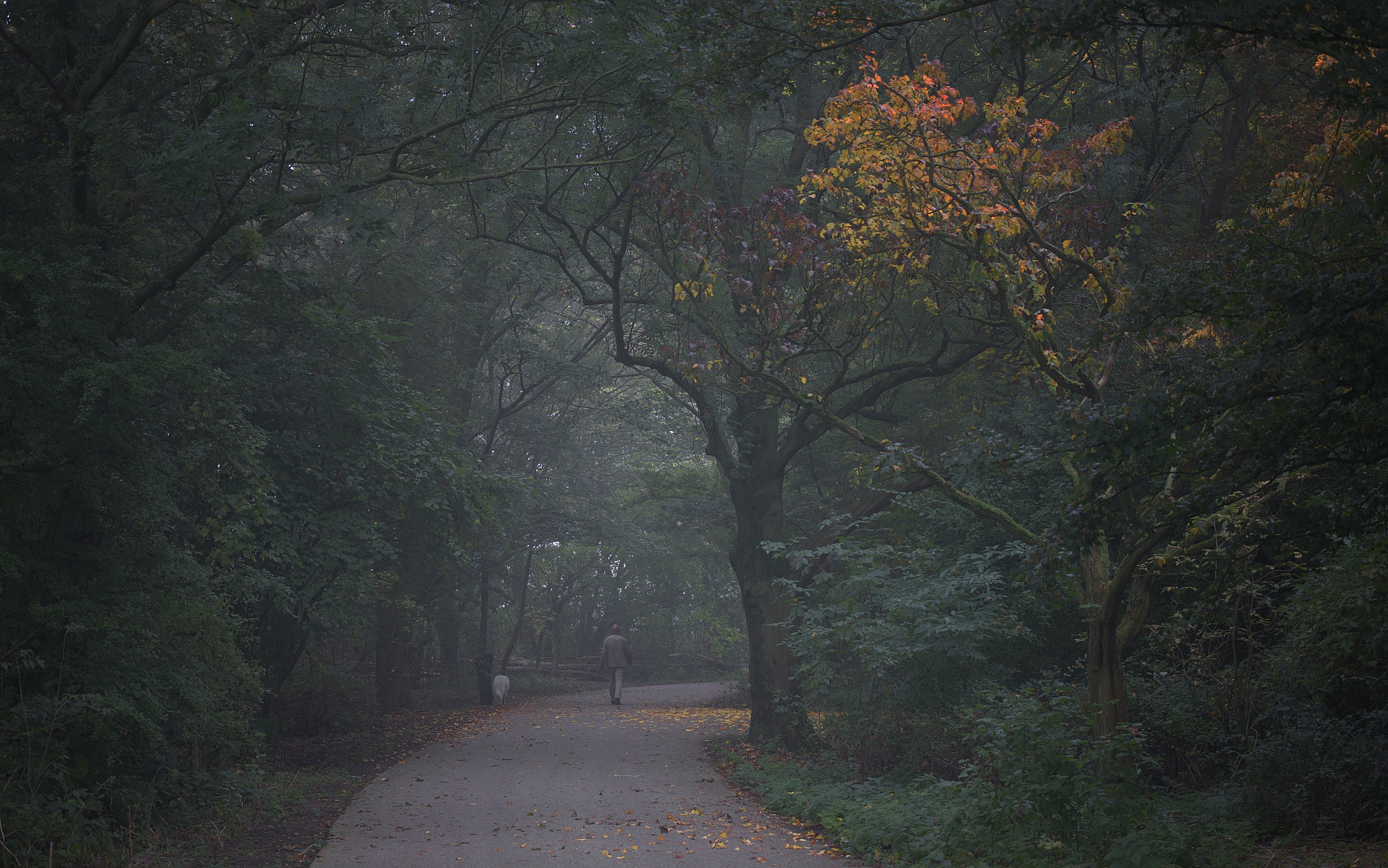 Canon EOS M + Canon EF 40mm F2.8 STM sample photo. A man and a dog photography