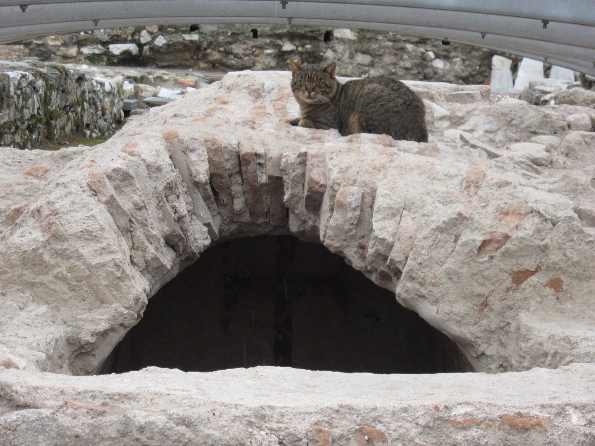 Canon PowerShot SD4000 IS (IXUS 300 HS / IXY 30S) sample photo. Cat on archaeological site photography