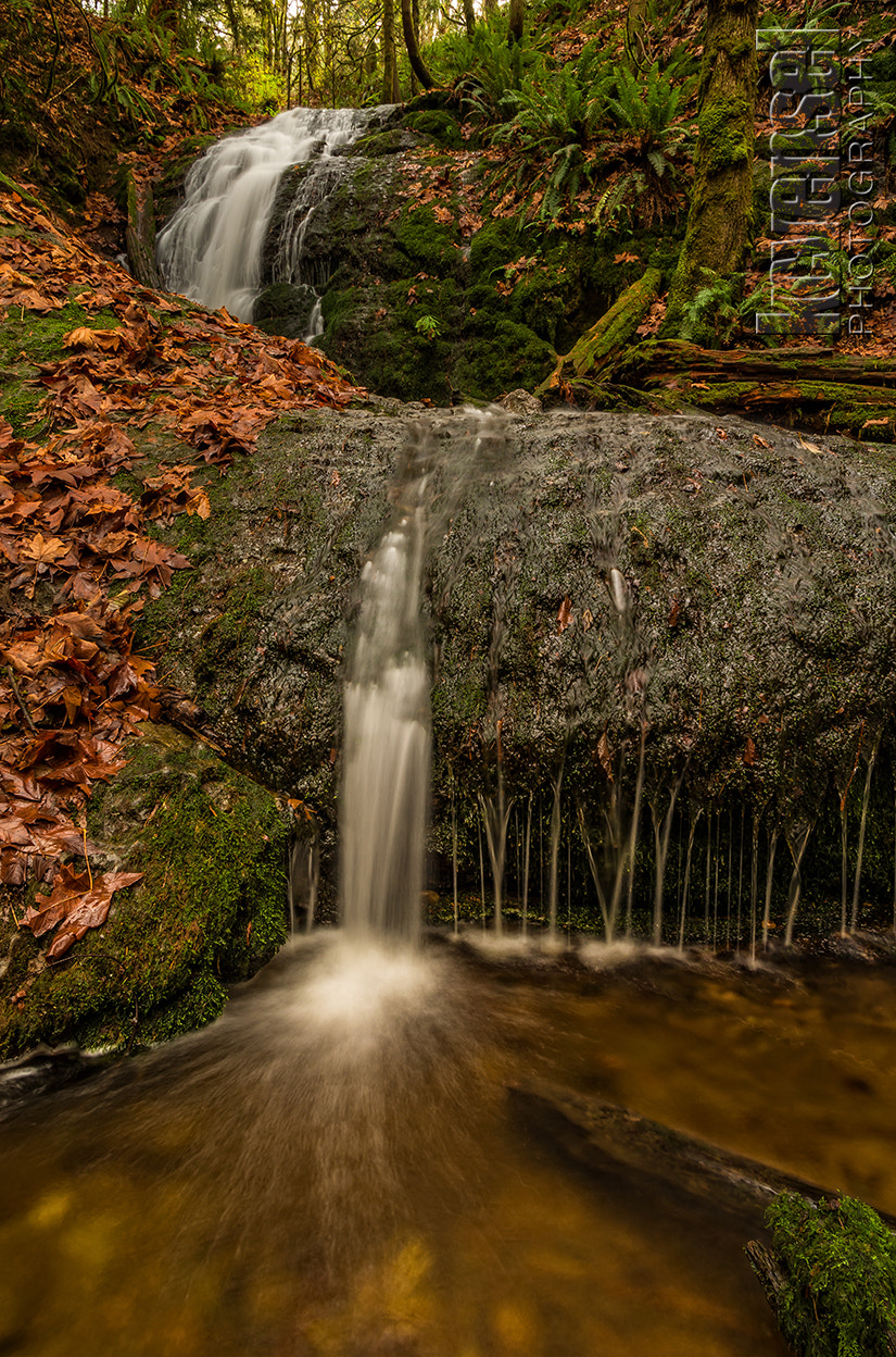 Pentax K-5 II sample photo. Up & over photography