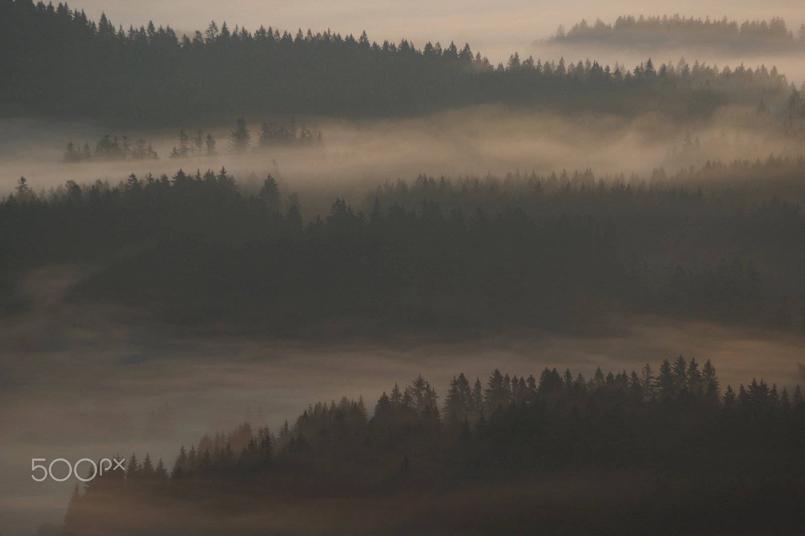 Sony SLT-A65 (SLT-A65V) sample photo. Czech republik, bohemian forest iii photography