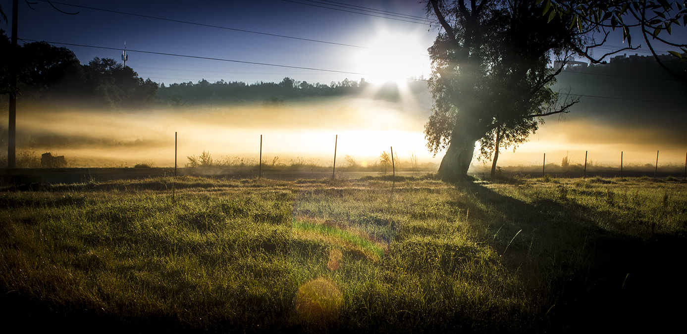 Canon EF 20mm F2.8 USM sample photo. Sunrise photography