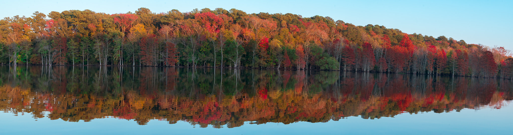 Nikon D800 sample photo. Fall trees photography