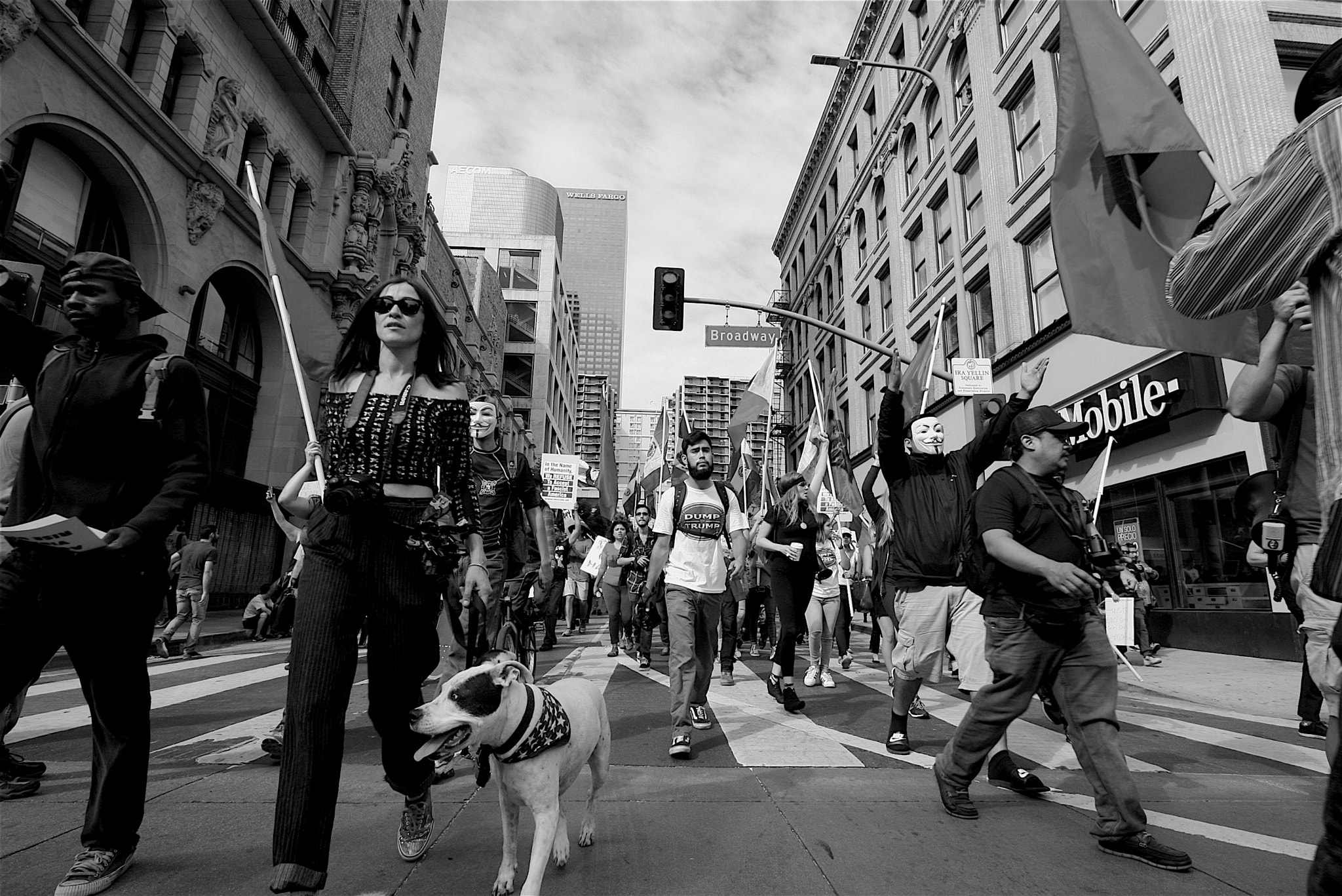 Canon EOS 40D sample photo. Even dogs know better photography