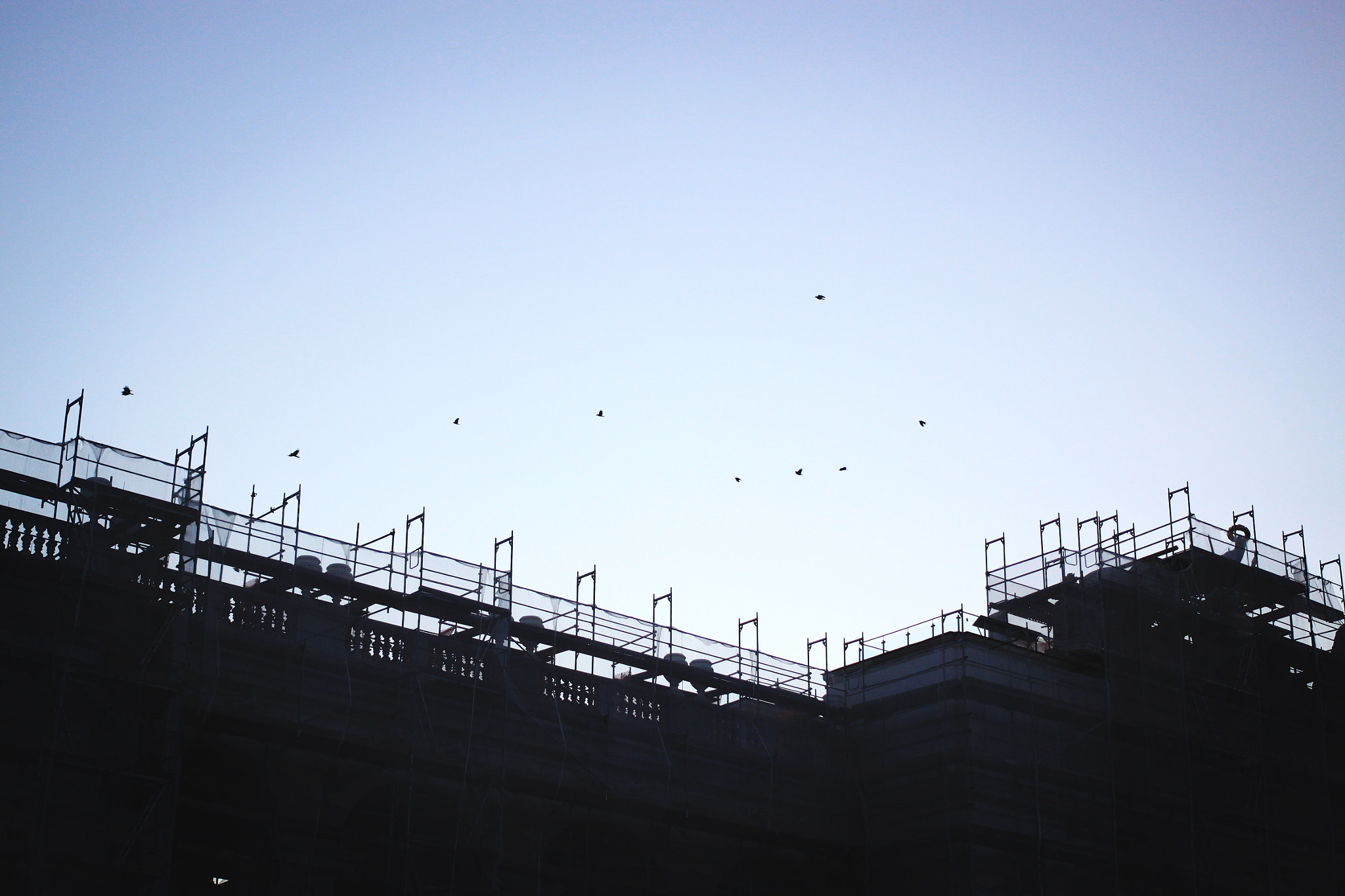 Canon EOS 50D + Canon EF 40mm F2.8 STM sample photo. Birds in the sky photography