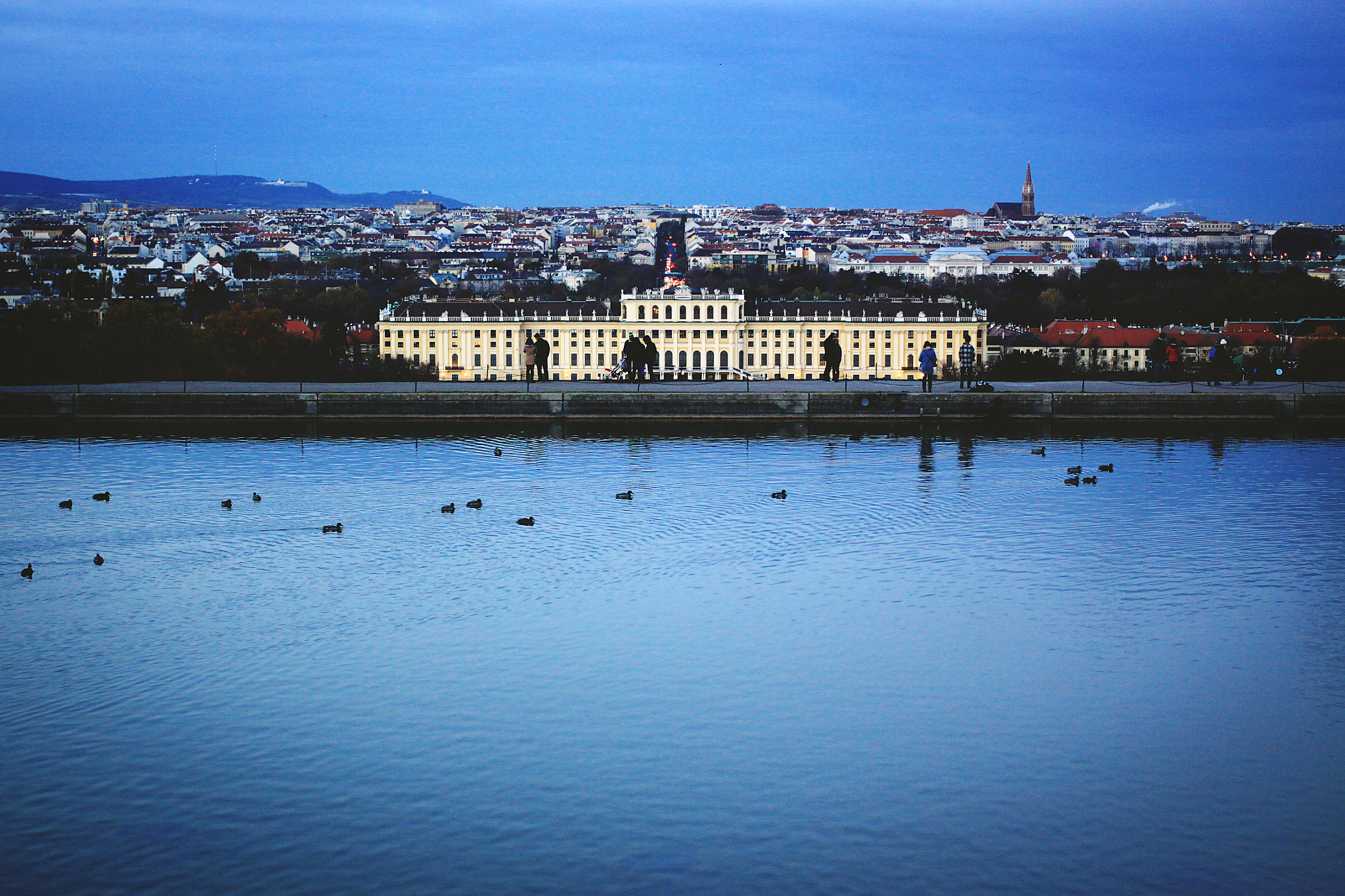 Canon EOS 50D + Canon EF 40mm F2.8 STM sample photo. Ducks are swimming with a view photography