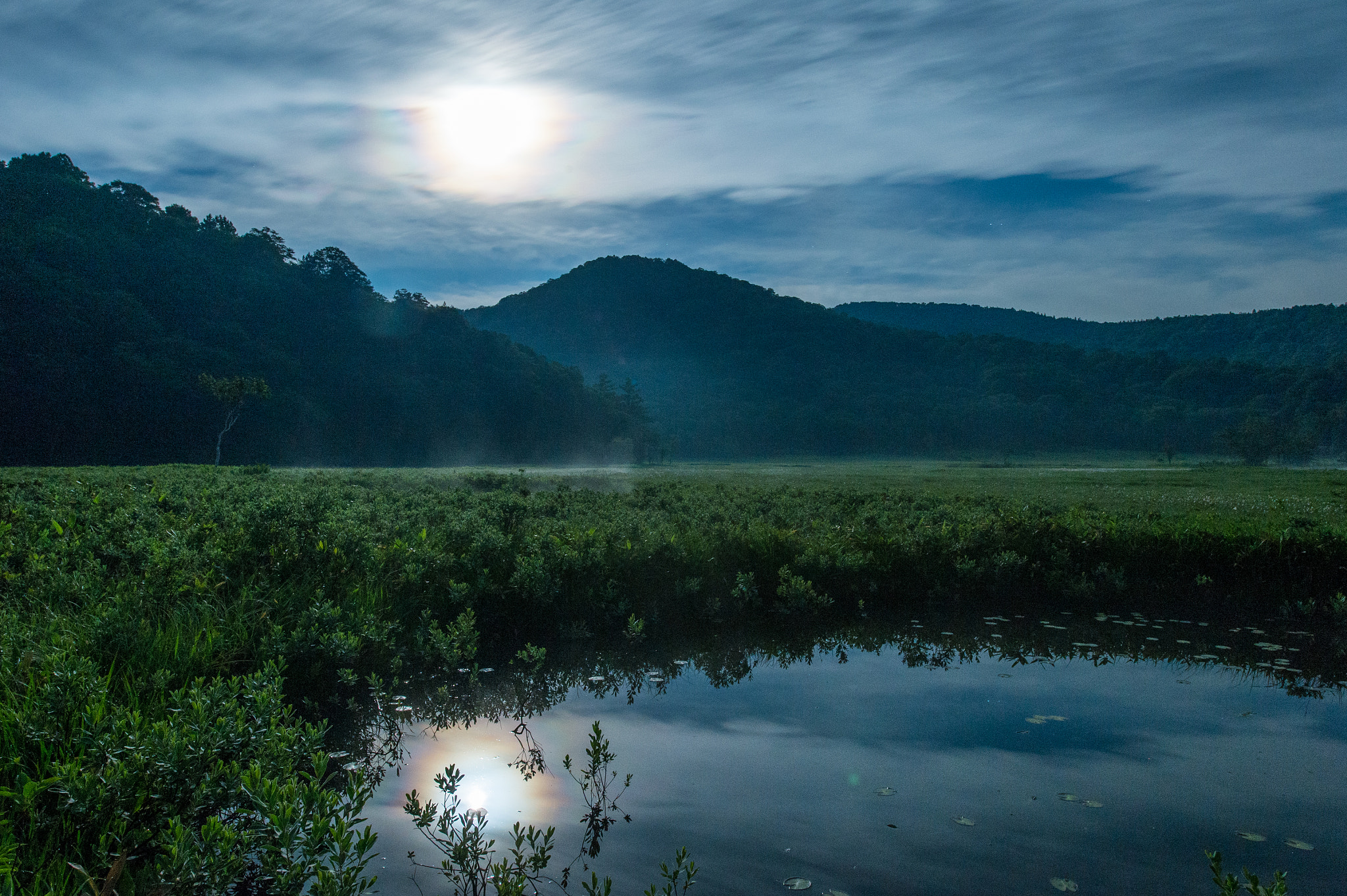 Nikon Df sample photo. Midnight moon and pond in oze photography