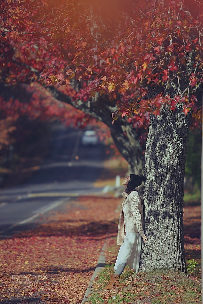 Canon EF 70-200mm F2.8L USM sample photo. Autumn love photography