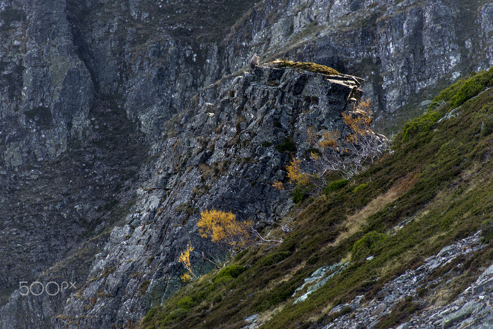 Sigma 50-500mm F4.5-6.3 DG OS HSM sample photo. Las rocas de los buitres photography