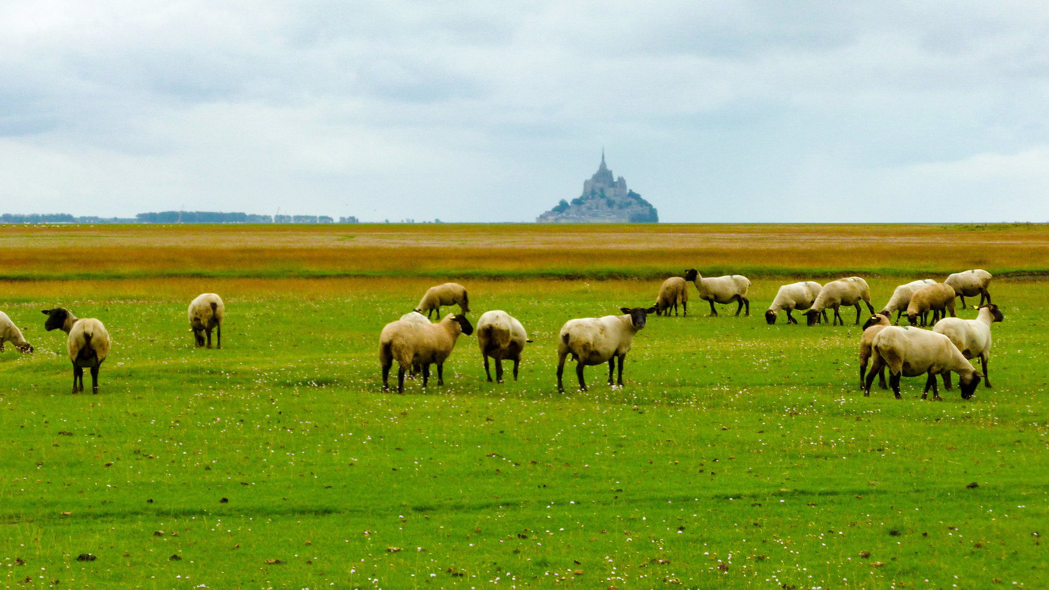 Panasonic Lumix DMC-FH25 (Lumix DMC-FS35) sample photo. Mont saint michel landscape photography
