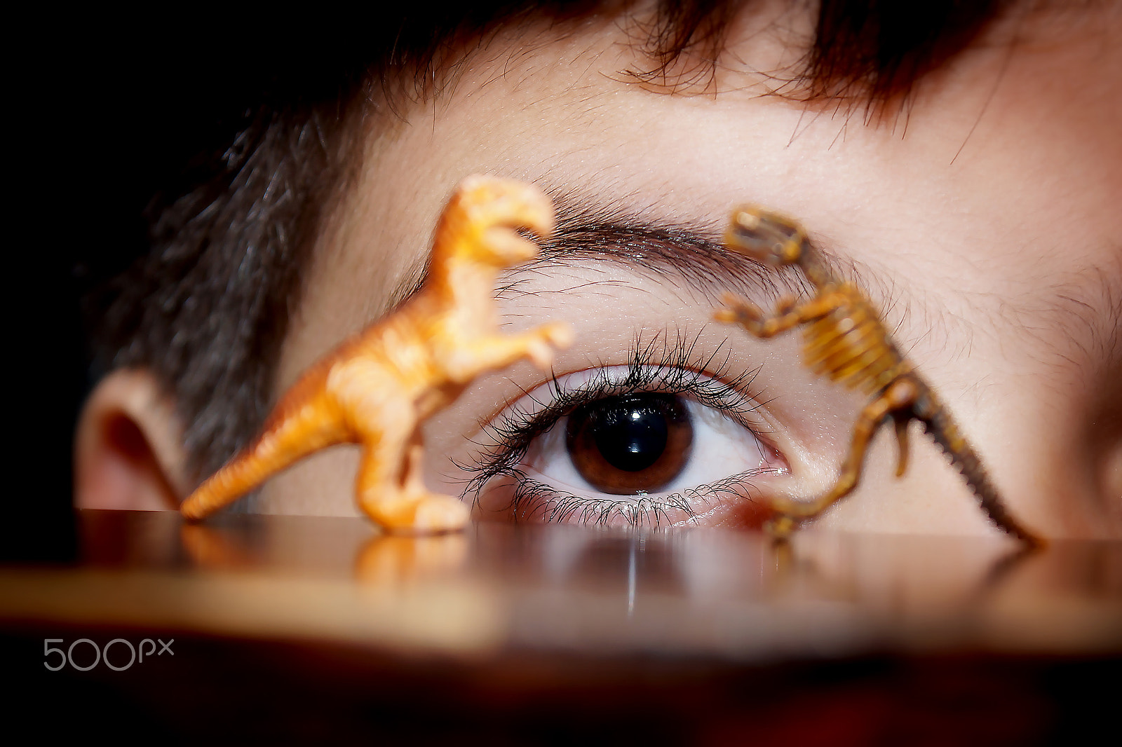 Sony DT 18-70mm F3.5-5.6 sample photo. Playing with dinosaurs !!! photography