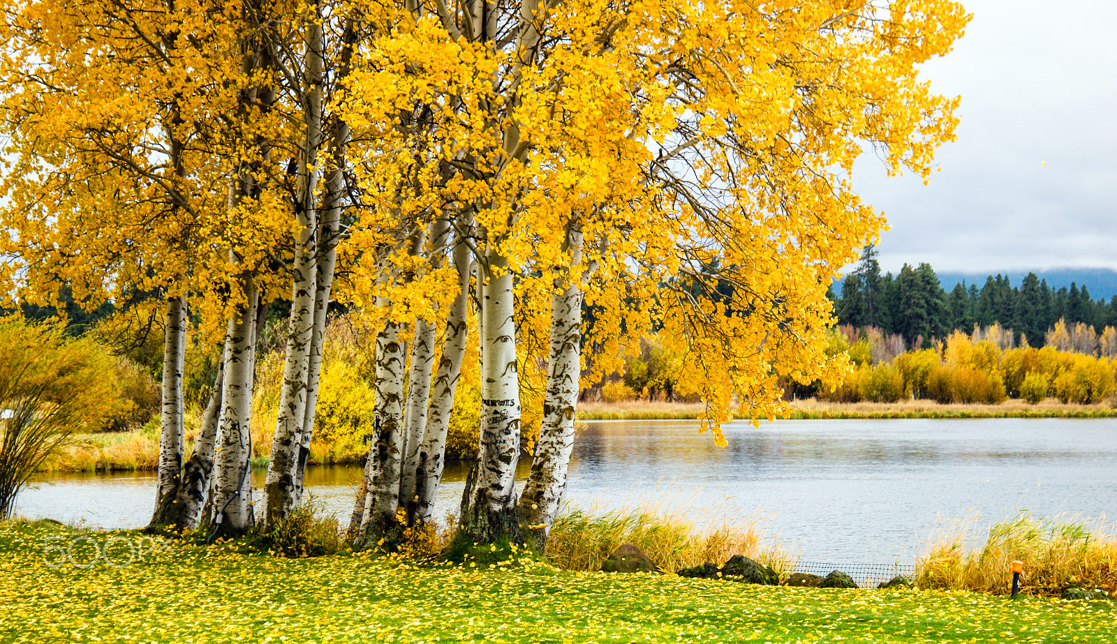 Samsung NX1 + NX 18-200mm F3.5-6.3 sample photo. Black butte ranch, oregon photography