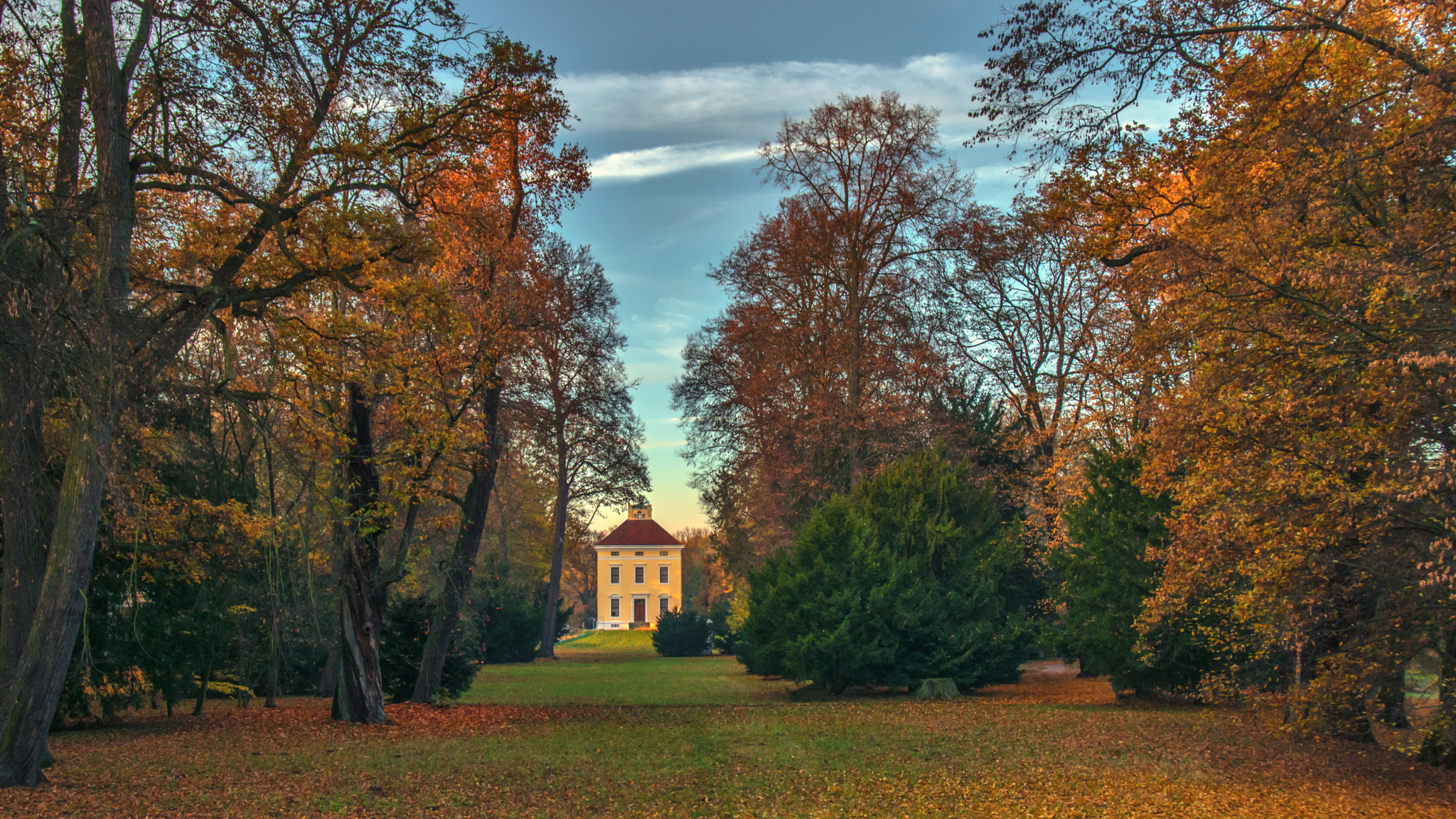 view on the \