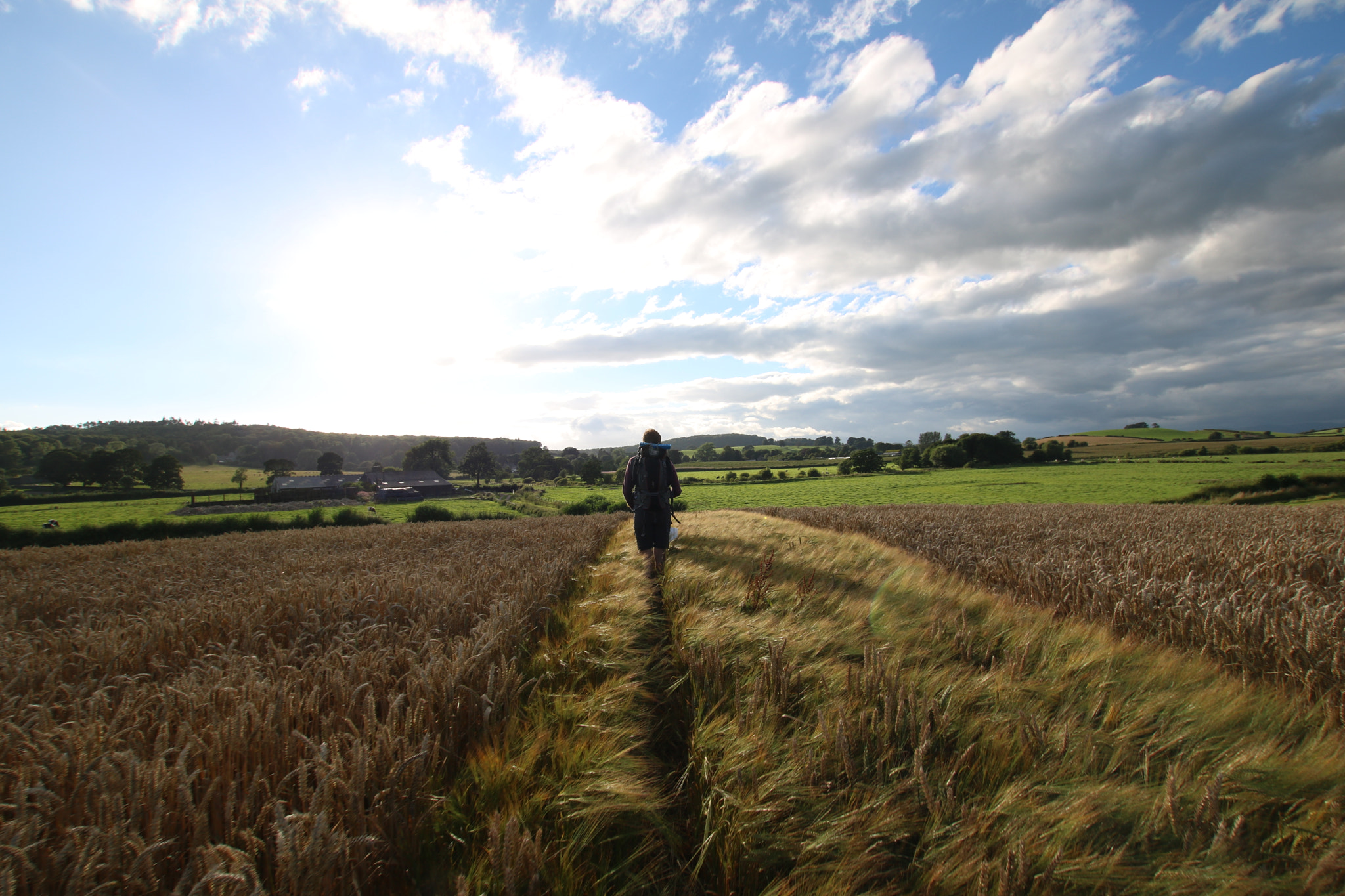 Sigma 10-20mm F3.5 EX DC HSM sample photo. Corn fields photography