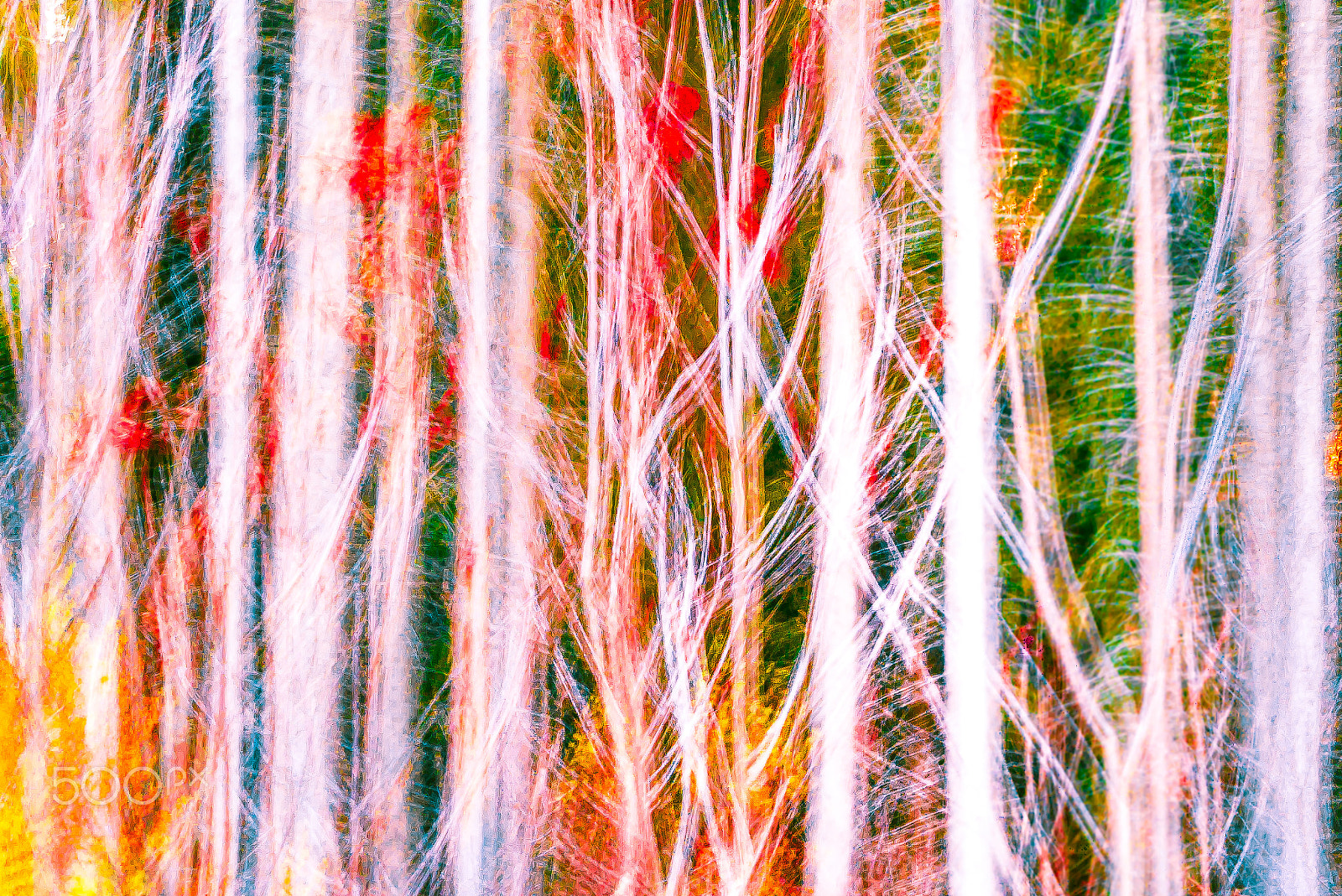 Olympus PEN E-PM2 sample photo. Impressionism photography