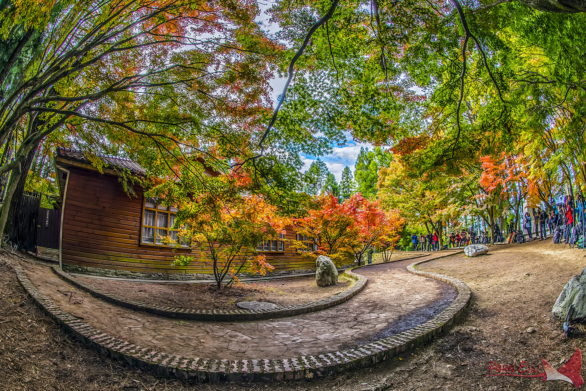 Nikon D800E + Nikon AF Fisheye-Nikkor 16mm F2.8D sample photo. Fu-shou-shan farm photography