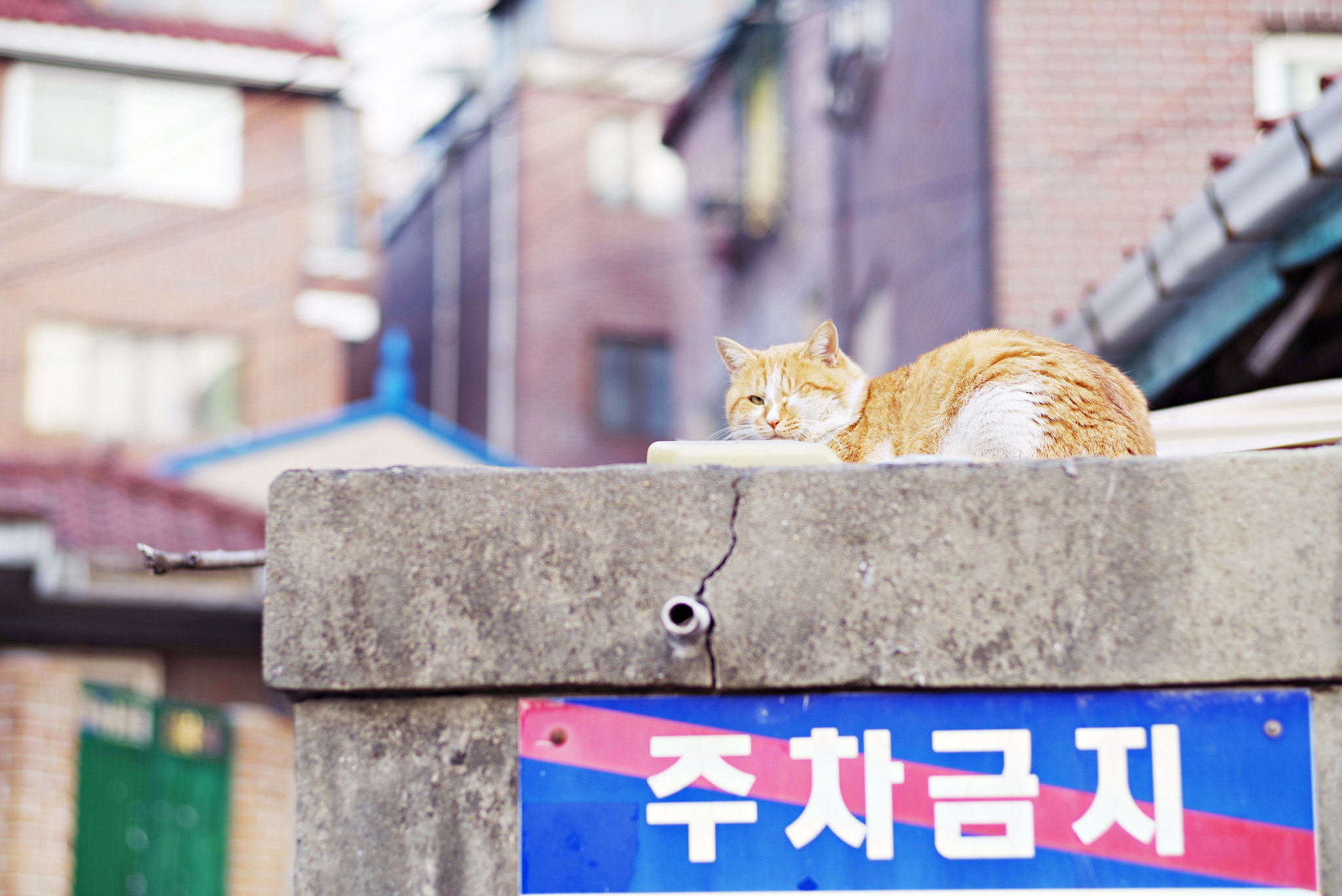 Pentax K-1 + Pentax smc FA 77mm 1.8 Limited sample photo. Don't parking here photography