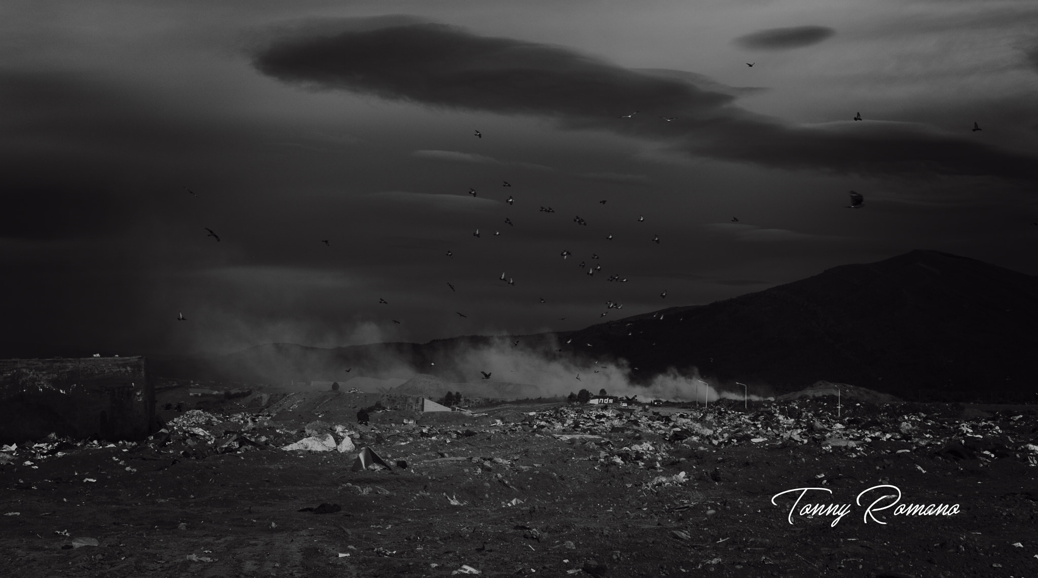 18.0-55.0mm f/3.5-f/5.6 sample photo. Basura pajaros y fuego photography