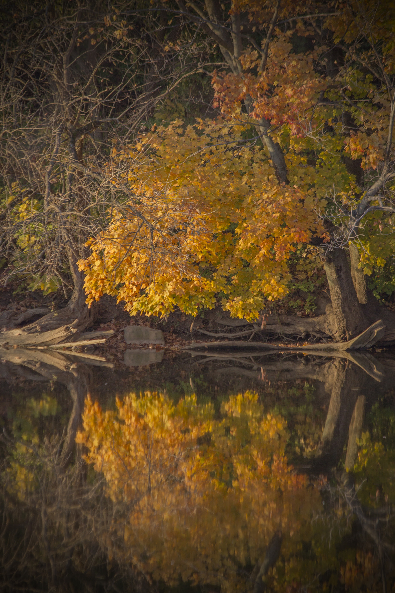 Canon EF 70-300mm F4-5.6 IS USM sample photo. Img photography