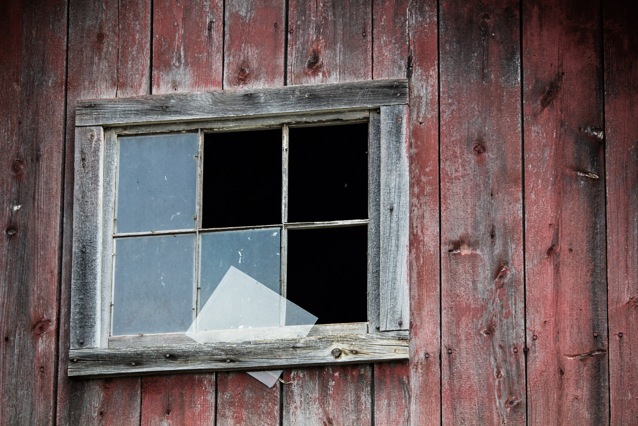 Canon EF-S 55-250mm F4-5.6 IS STM sample photo. Window photography