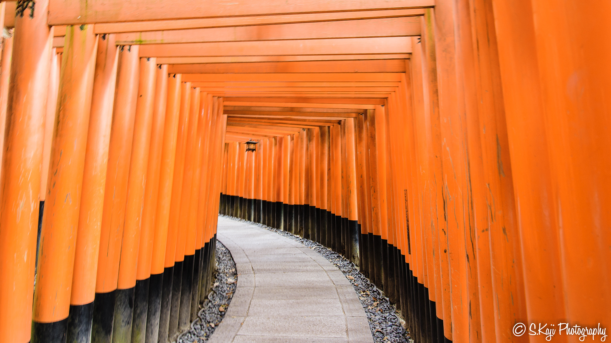 Nikon Df sample photo. Senbon torii photography