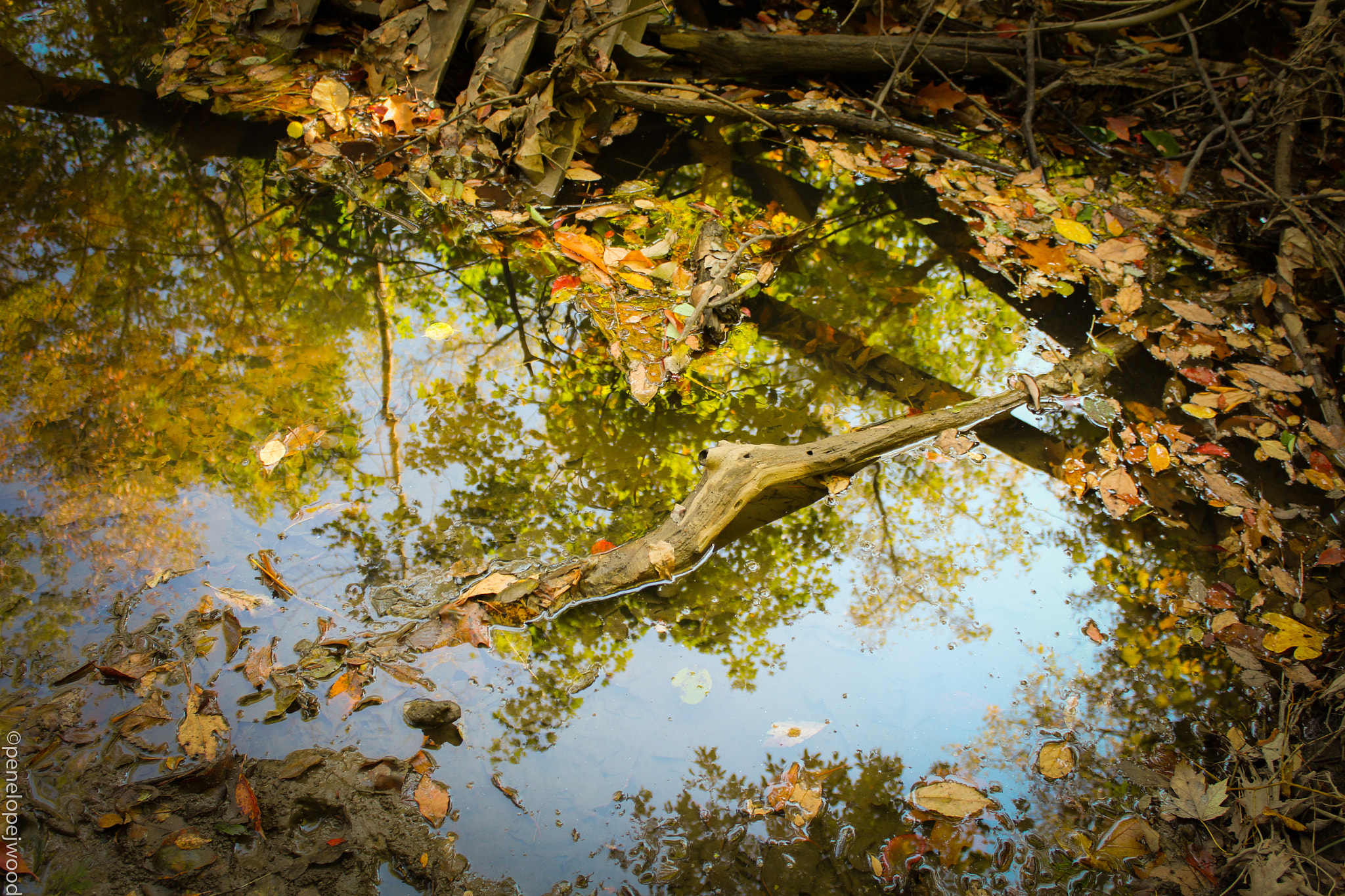 Canon EOS 650D (EOS Rebel T4i / EOS Kiss X6i) sample photo. Fall reflection photography