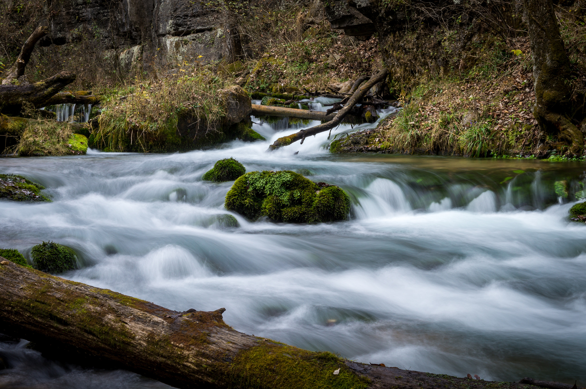 Sony SLT-A57 + Sony DT 50mm F1.8 SAM sample photo. Greer springs on eleven point river photography