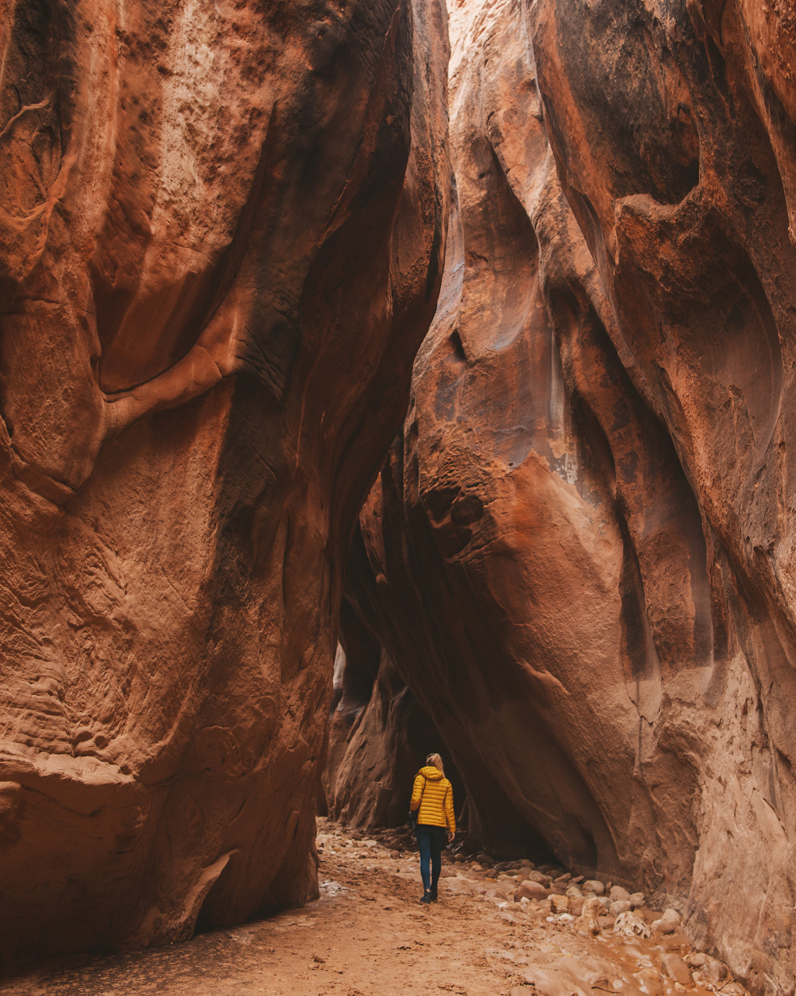 Canon EF 24mm F1.4L II USM sample photo. Buckskin gulch photography