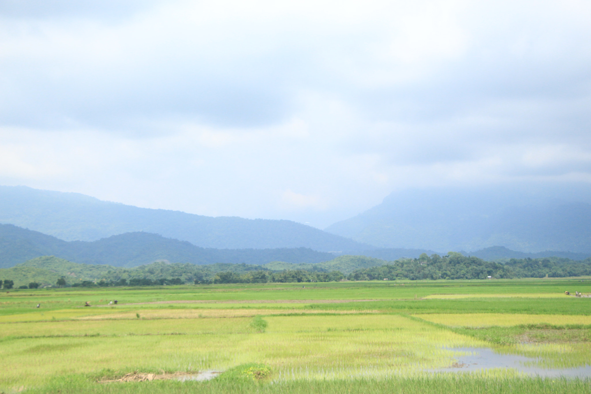 Canon EOS 700D (EOS Rebel T5i / EOS Kiss X7i) + Canon EF 22-55mm f/4-5.6 USM sample photo. Indian border near bangladesh  photography