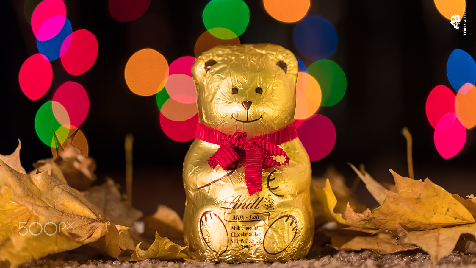 Canon EF 100mm F2.8L Macro IS USM sample photo. A golden gift!! photography