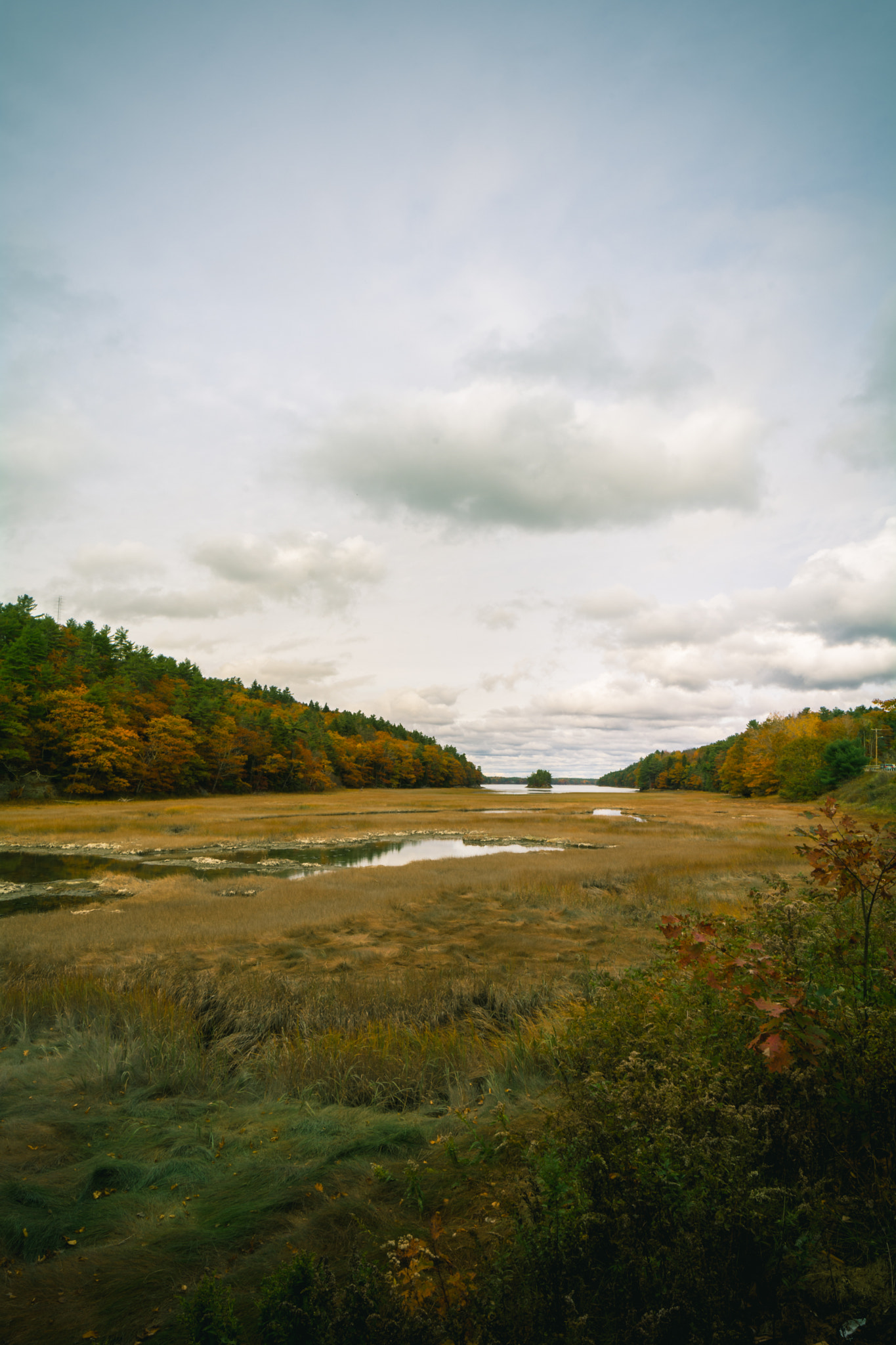 Samyang 14mm F2.8 ED AS IF UMC sample photo. The last of autumn photography