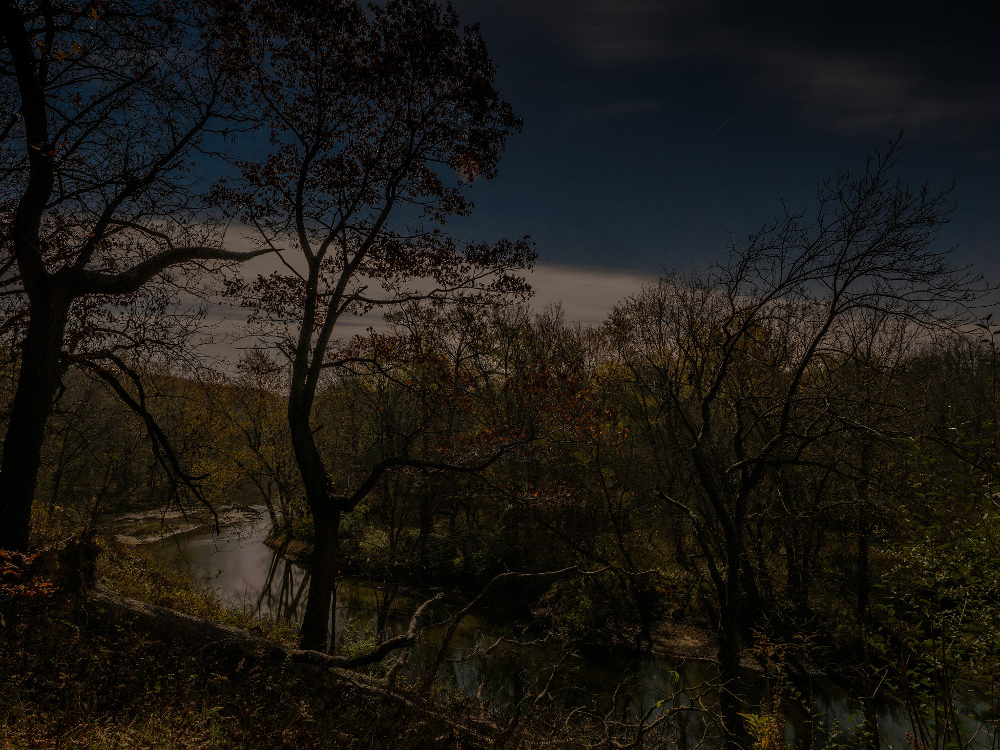 Panasonic Lumix DMC-GX8 + Olympus M.Zuiko Digital ED 12-40mm F2.8 Pro sample photo. Mystic woods photography