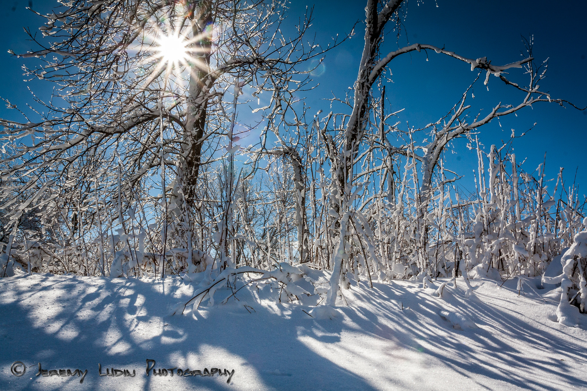 Canon EOS 450D (EOS Rebel XSi / EOS Kiss X2) + Canon EF 17-40mm F4L USM sample photo. Feb 2, 2015 superbowl snow storm photography