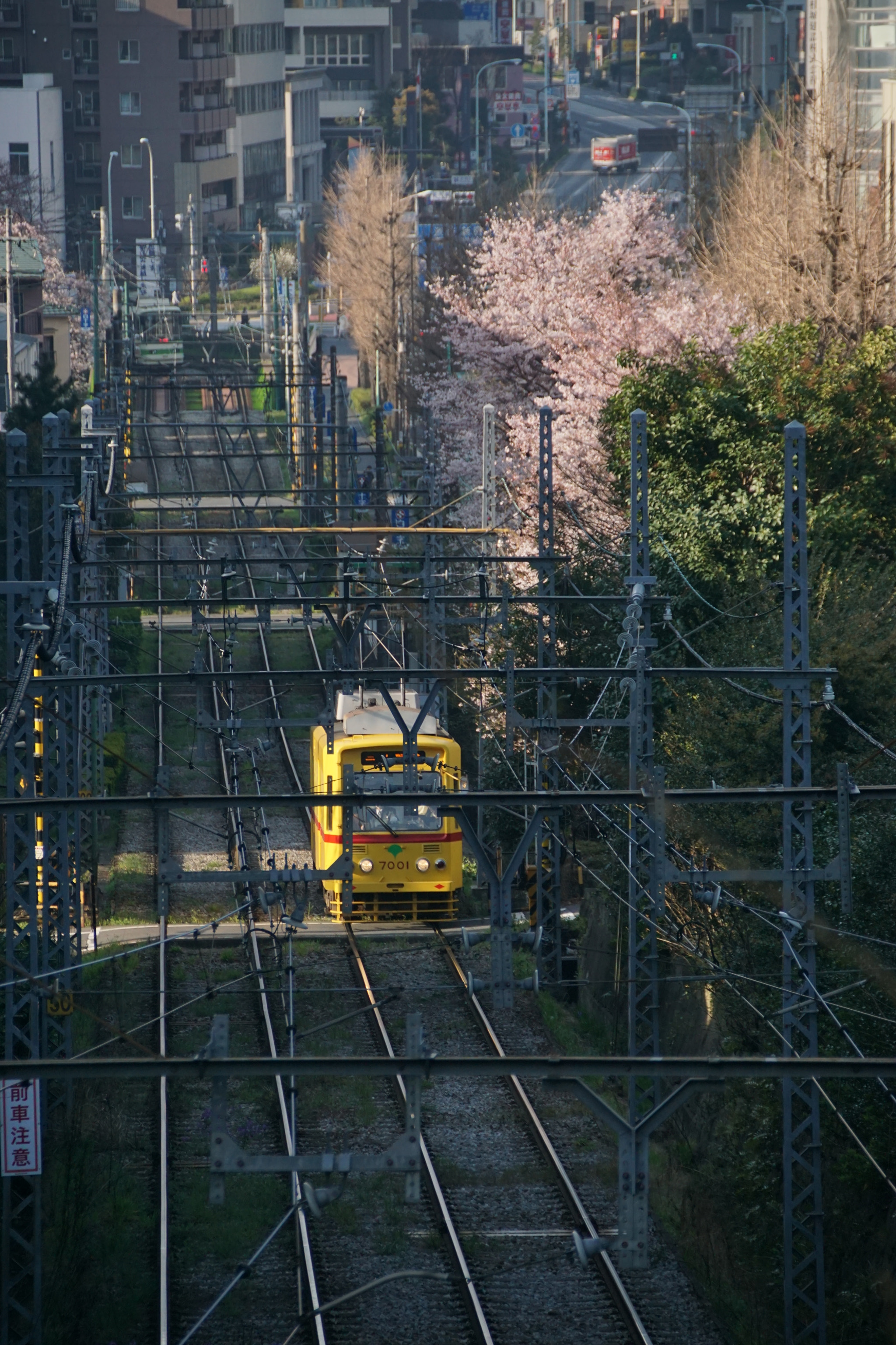Tamron 18-270mm F3.5-6.3 Di II PZD sample photo