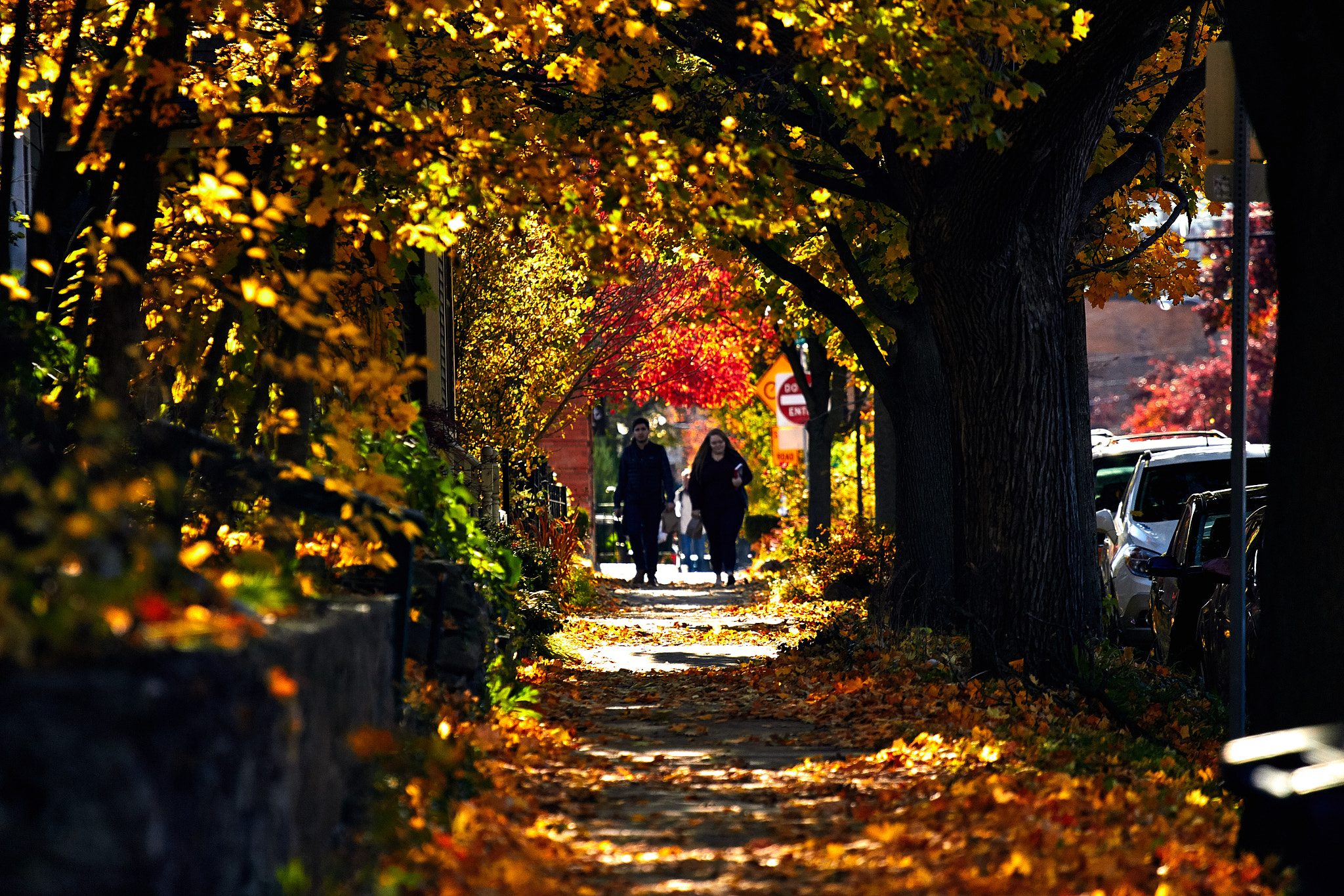 Canon EF 70-200mm F4L USM sample photo. Fall photography