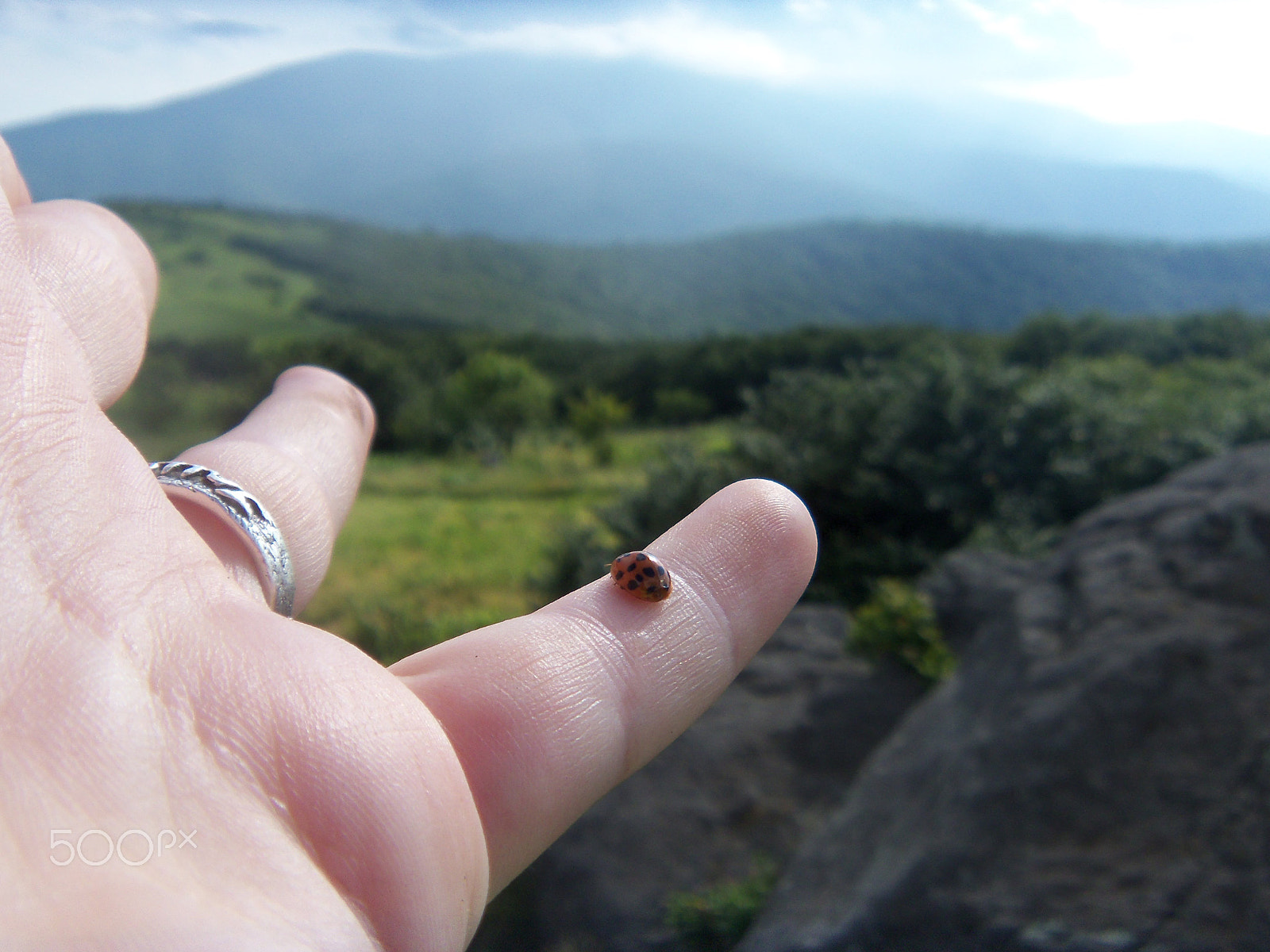 Kodak SLICE TOUCHSCREEN CAMERA, R502 sample photo. () photography