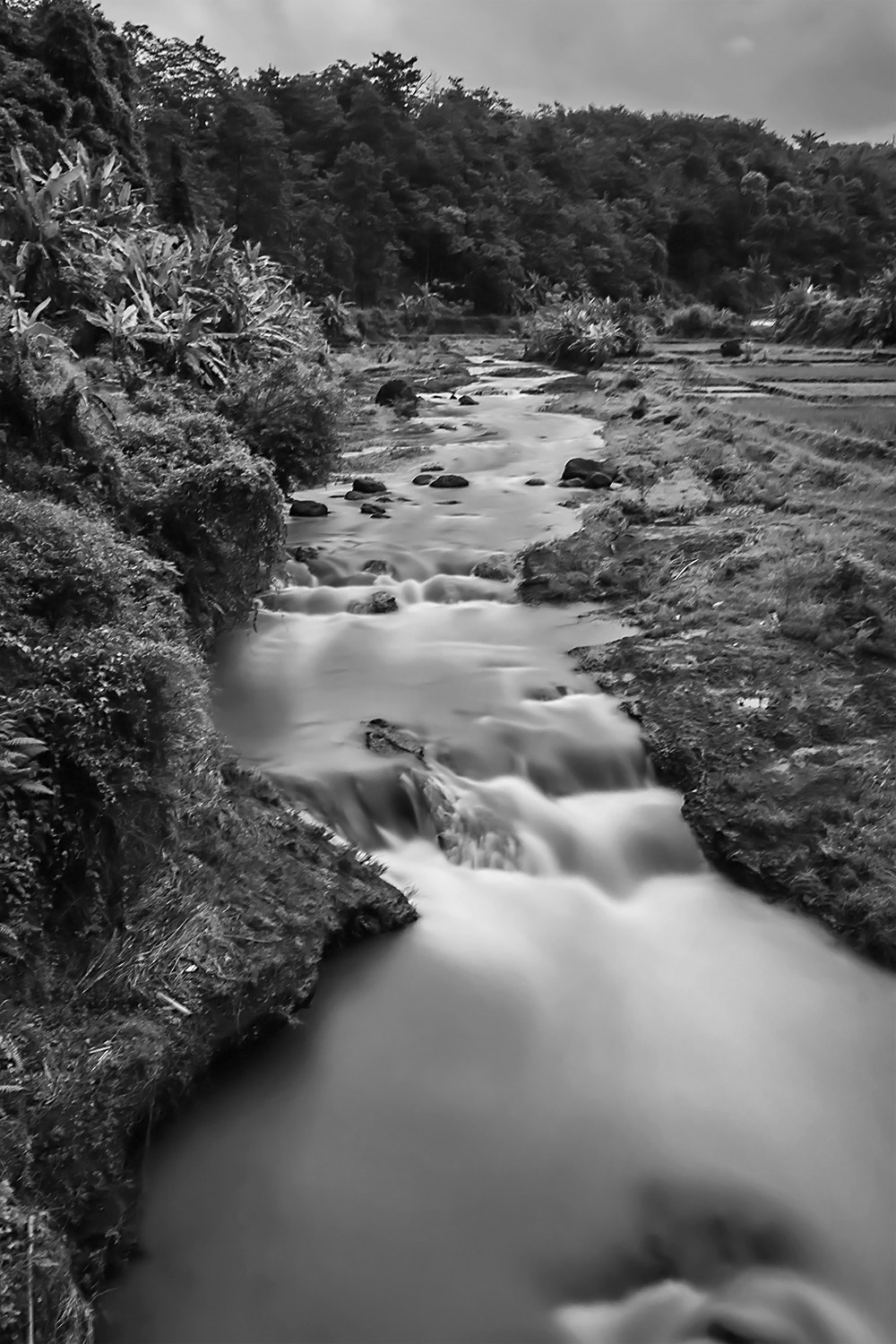 Fujifilm XC 16-50mm F3.5-5.6 OIS II sample photo. As  my destiny.. to meet u later..  photography