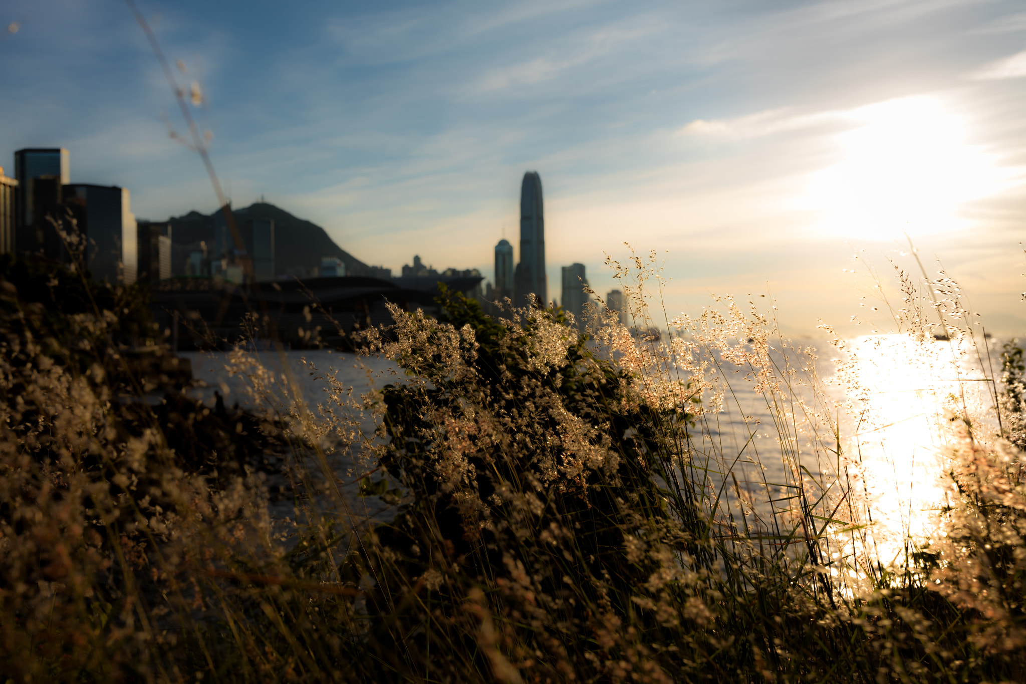 Canon EF 35mm F1.4L II USM sample photo. Secret place in hong kong photography