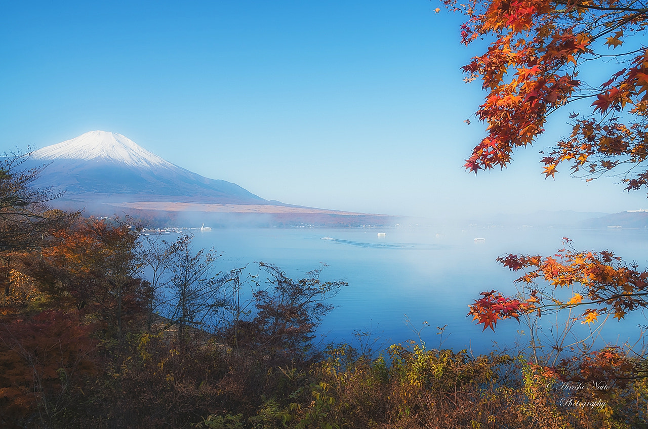Ricoh GXR A16 sample photo. Last autumn in yamanakako photography