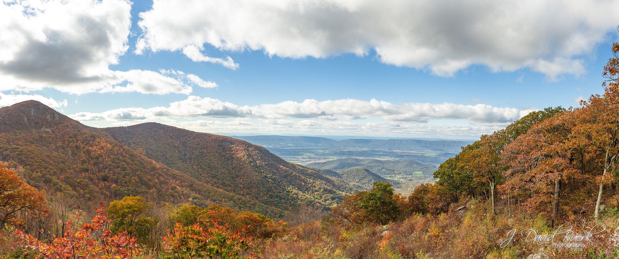 Canon EOS-1D X + Canon EF 35mm F1.4L USM sample photo. Brave enough: fall of 2016 photography