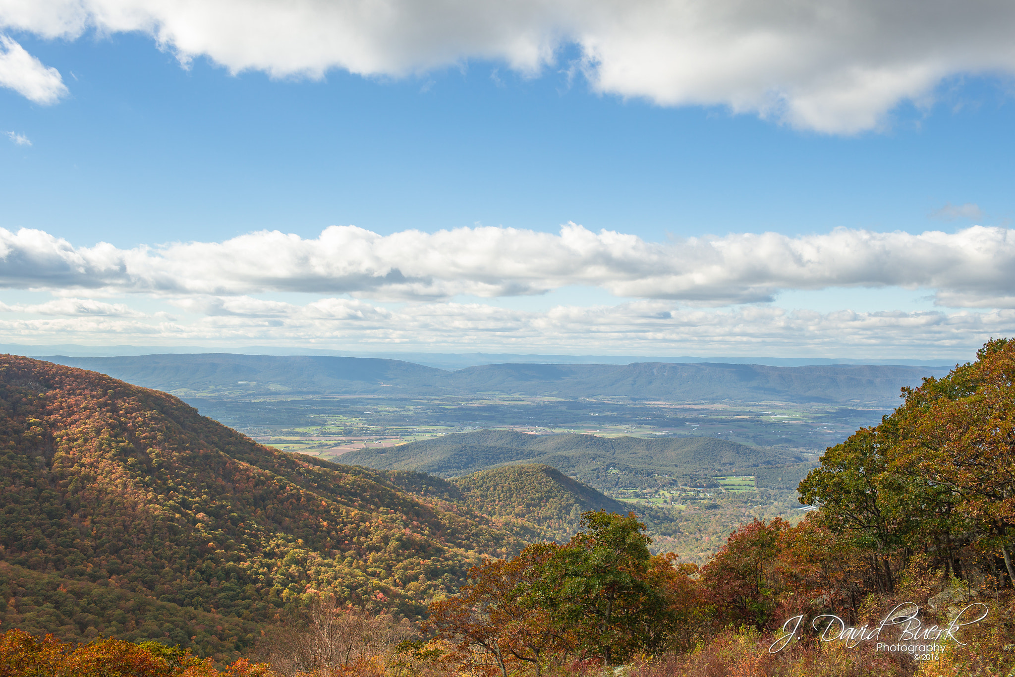 Canon EOS-1D X + Canon EF 35mm F1.4L USM sample photo. Brave enough: fall of 2016 photography